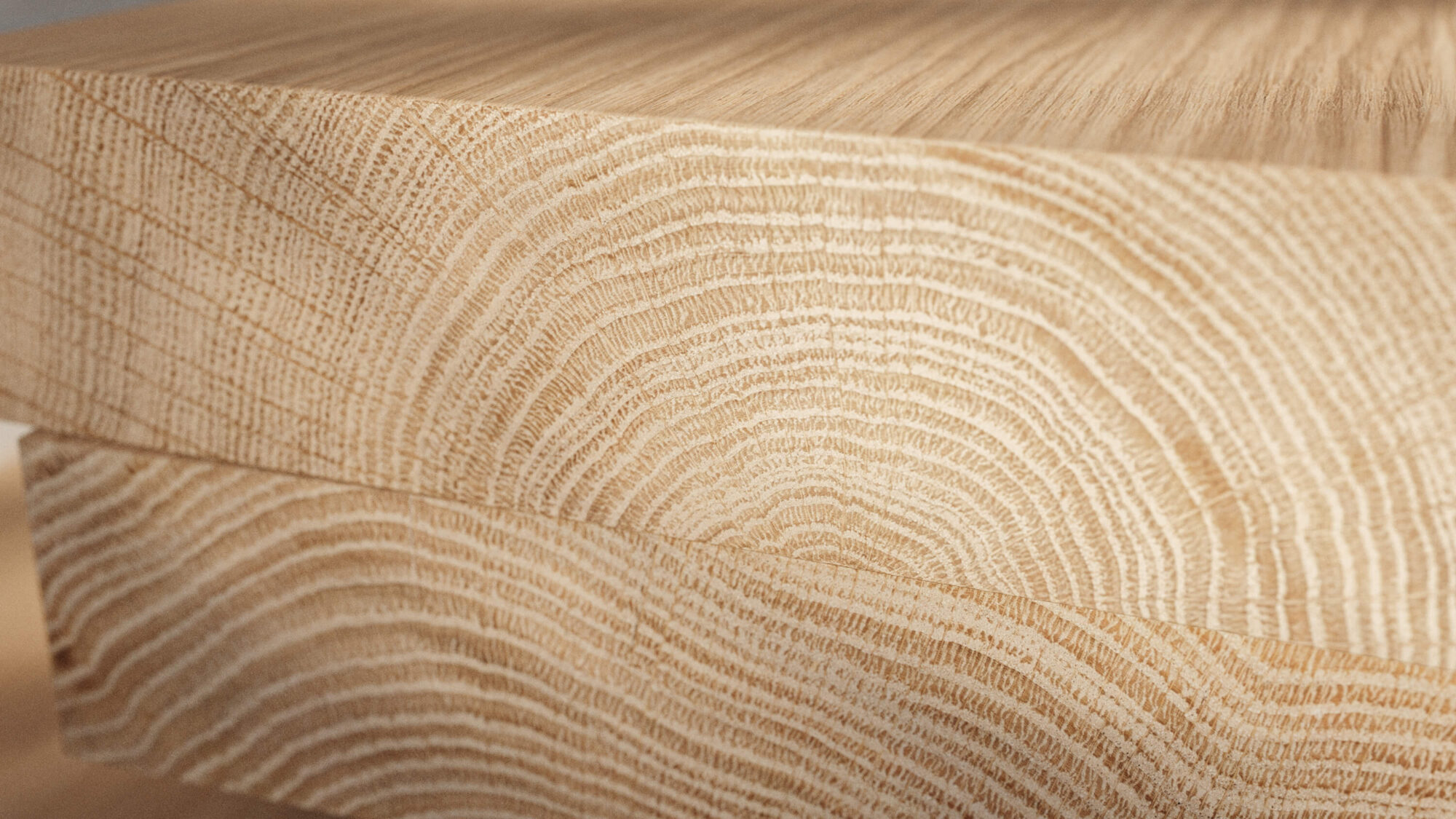 Seamless Oak Wood End Grain Texture Materials Of The World