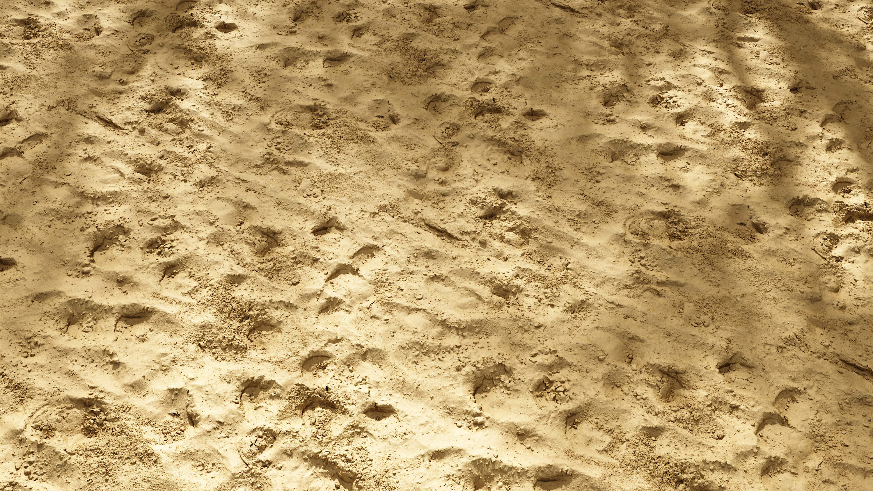 High Resolution Seamless Sand Texture