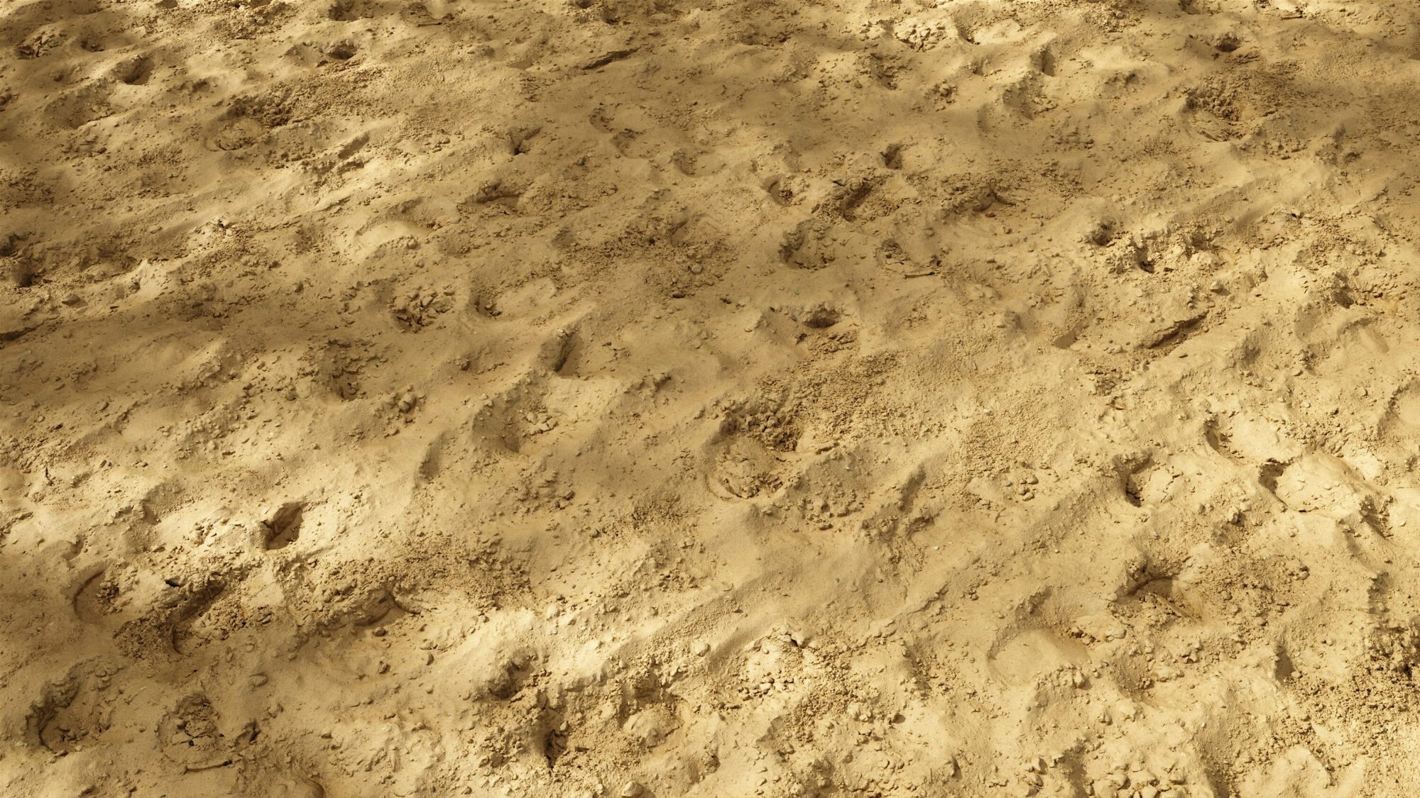 High-Resolution Seamless Soil PBR Texture