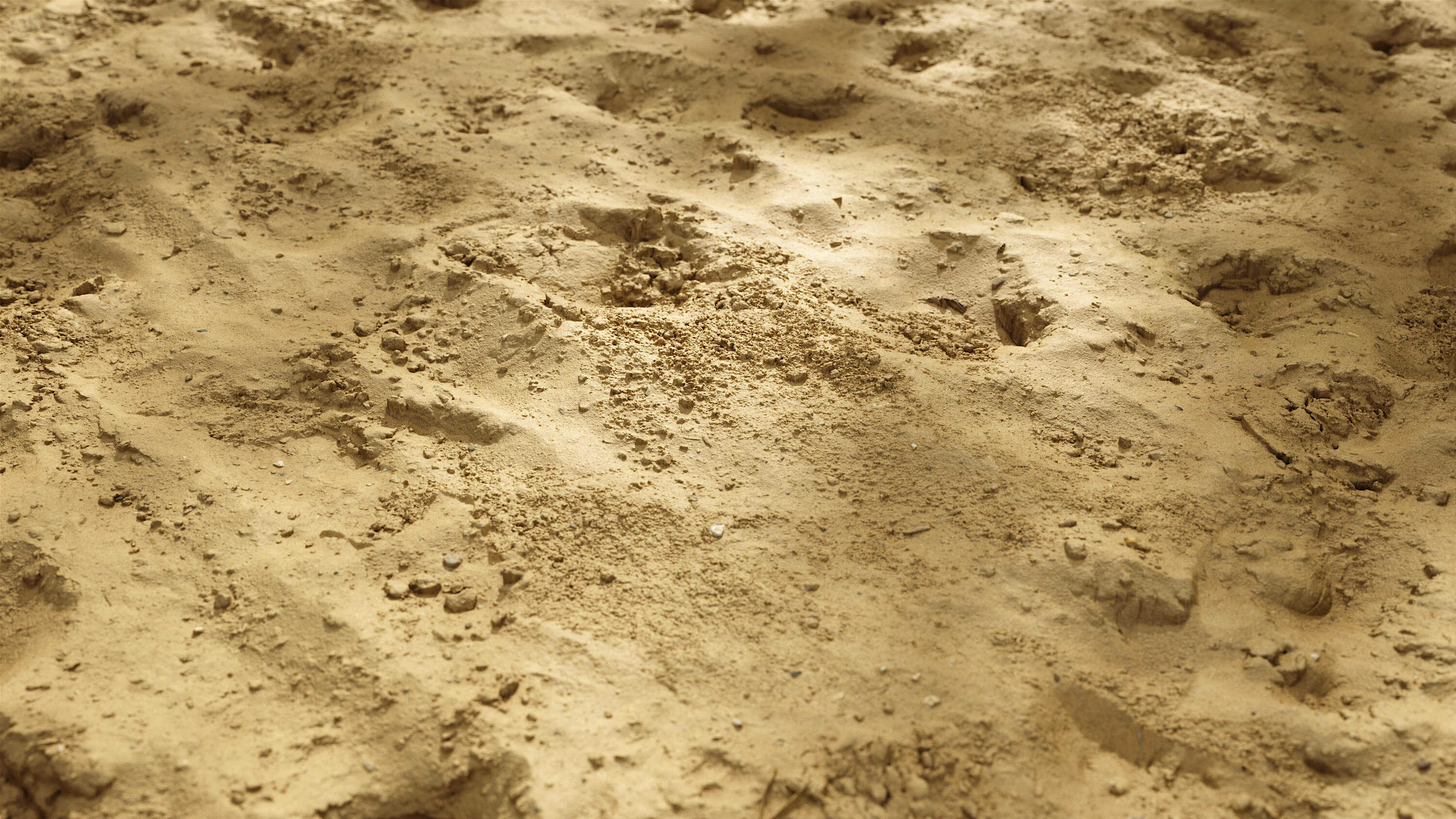 High Resolution Seamless Sand Texture