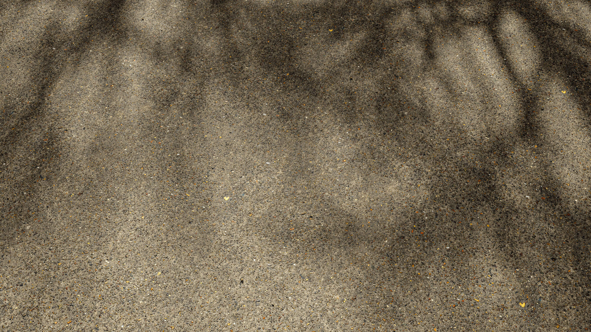 Seamless Concrete Texture