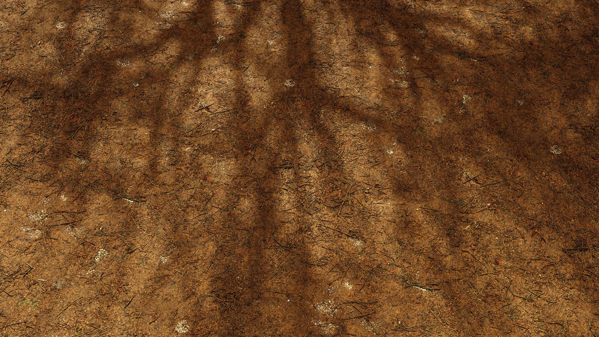 Seamless Cracked Concrete Texture