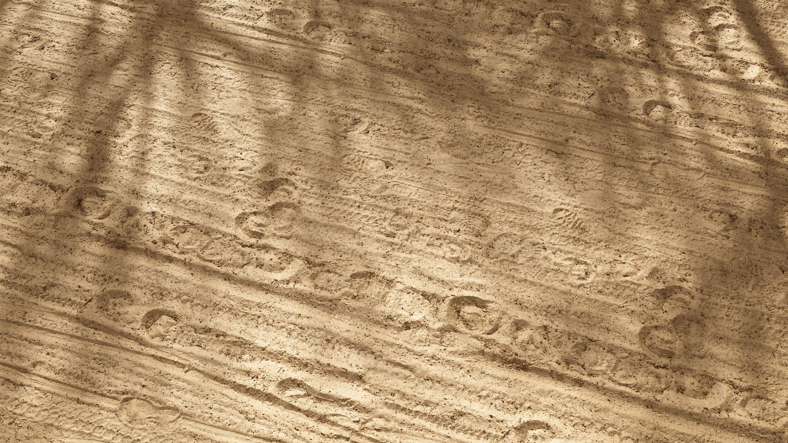 Seamless Sand Soil Trampled Forest Path Floor Texture Set 16k PBR