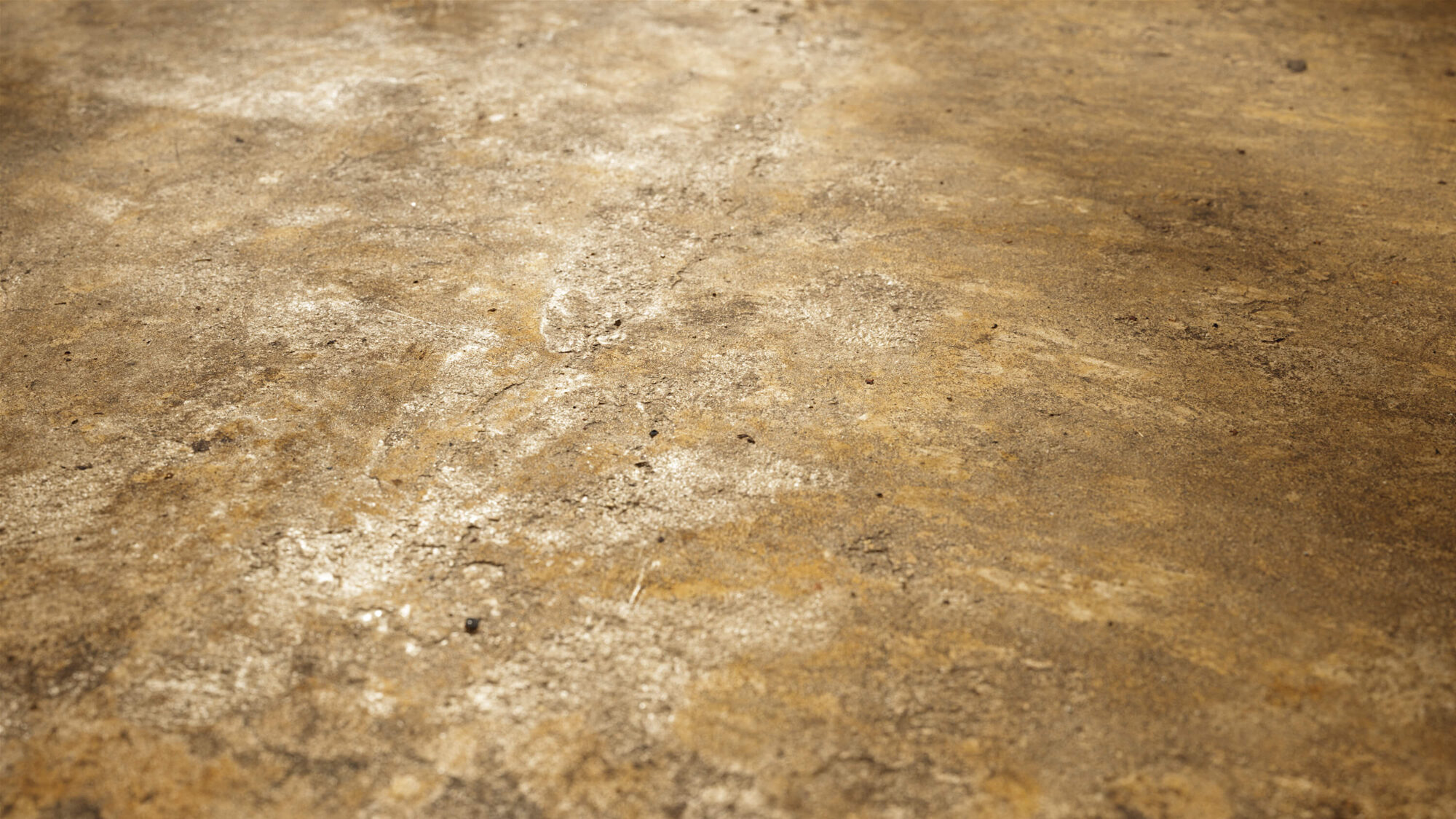 Seamless Concrete Floor Texture