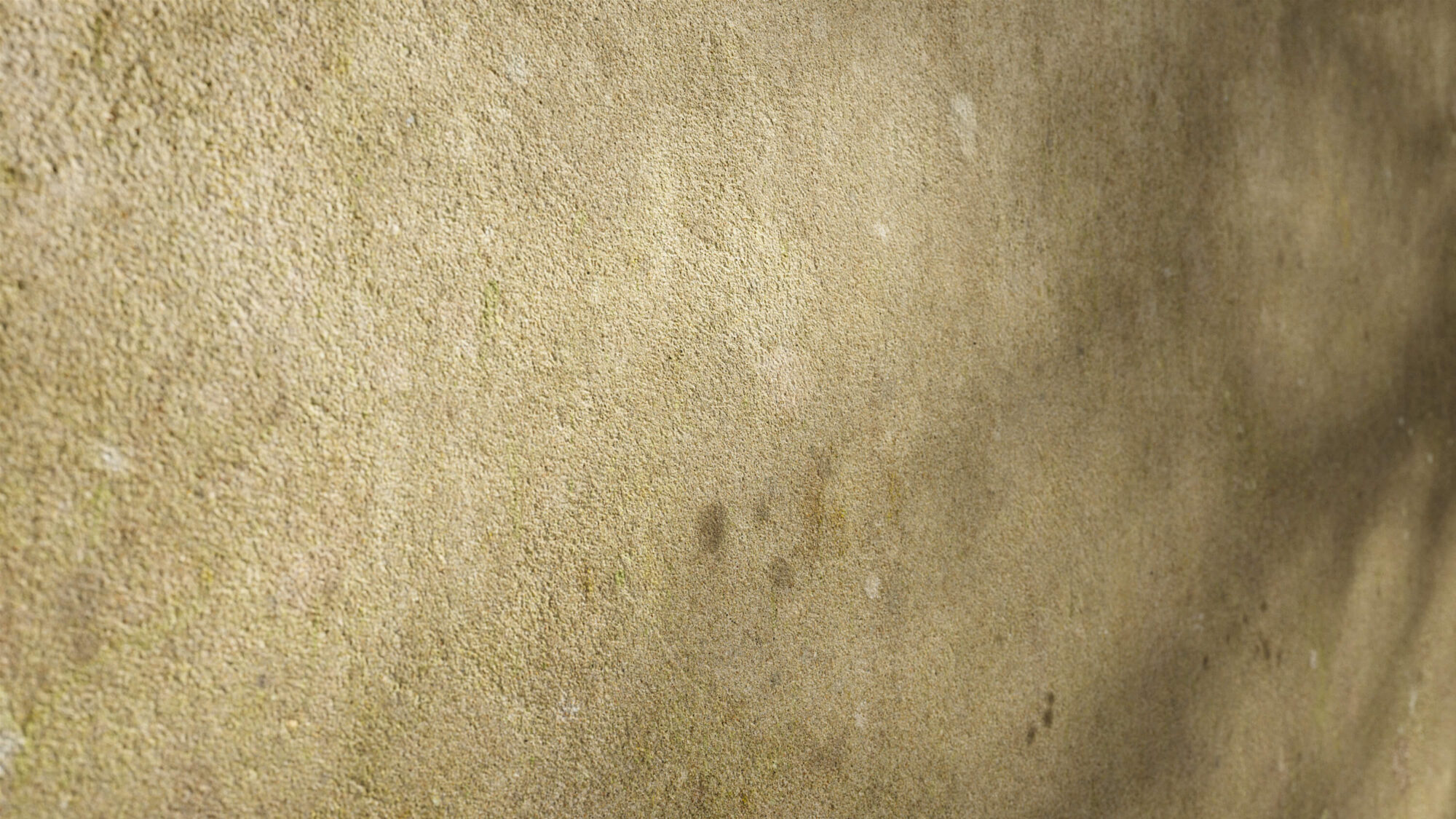 Seamless Concrete Wall Texture