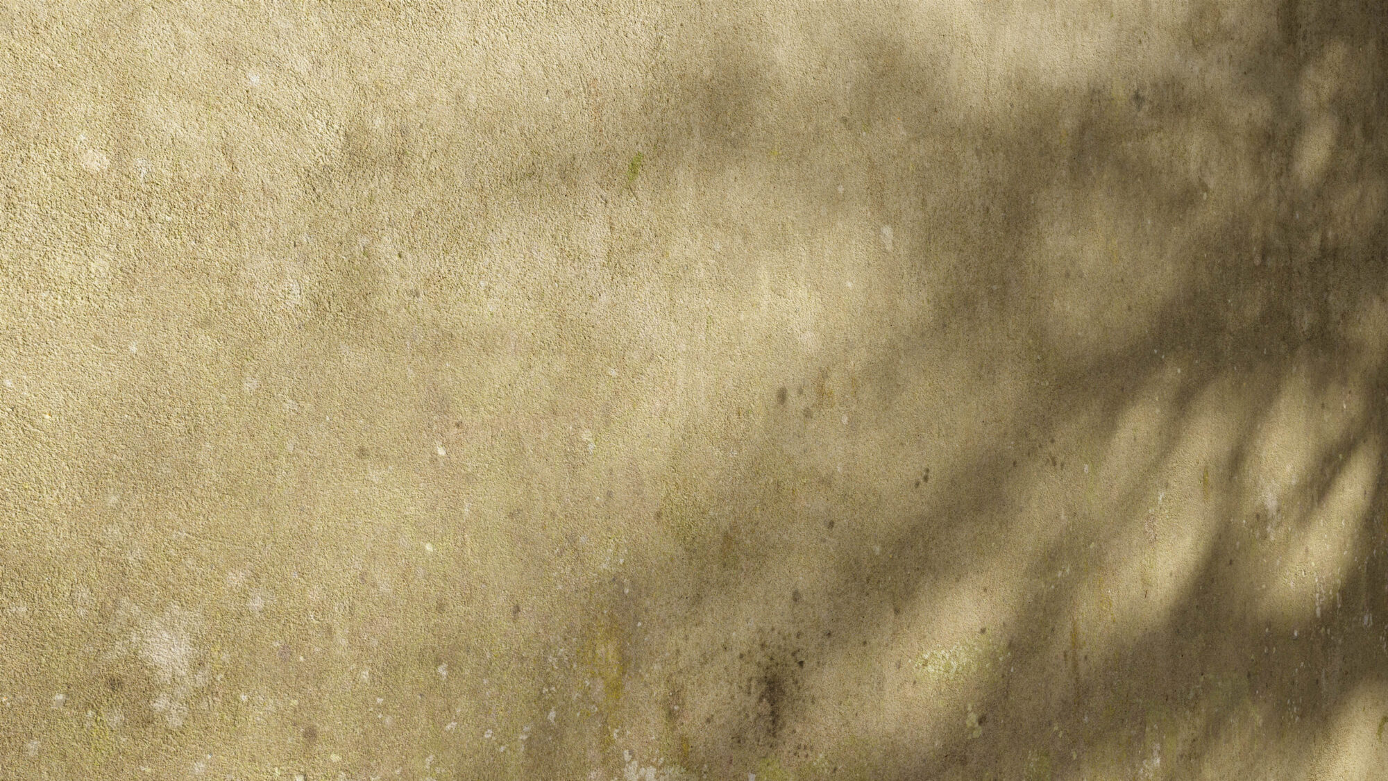 Seamless Concrete Wall Texture