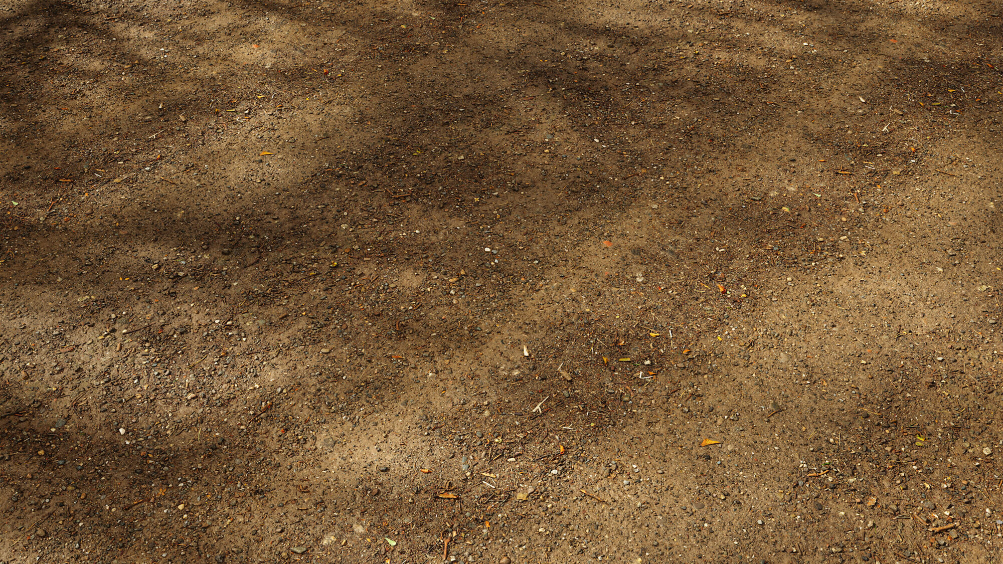 Seamless Forest Floor Texture