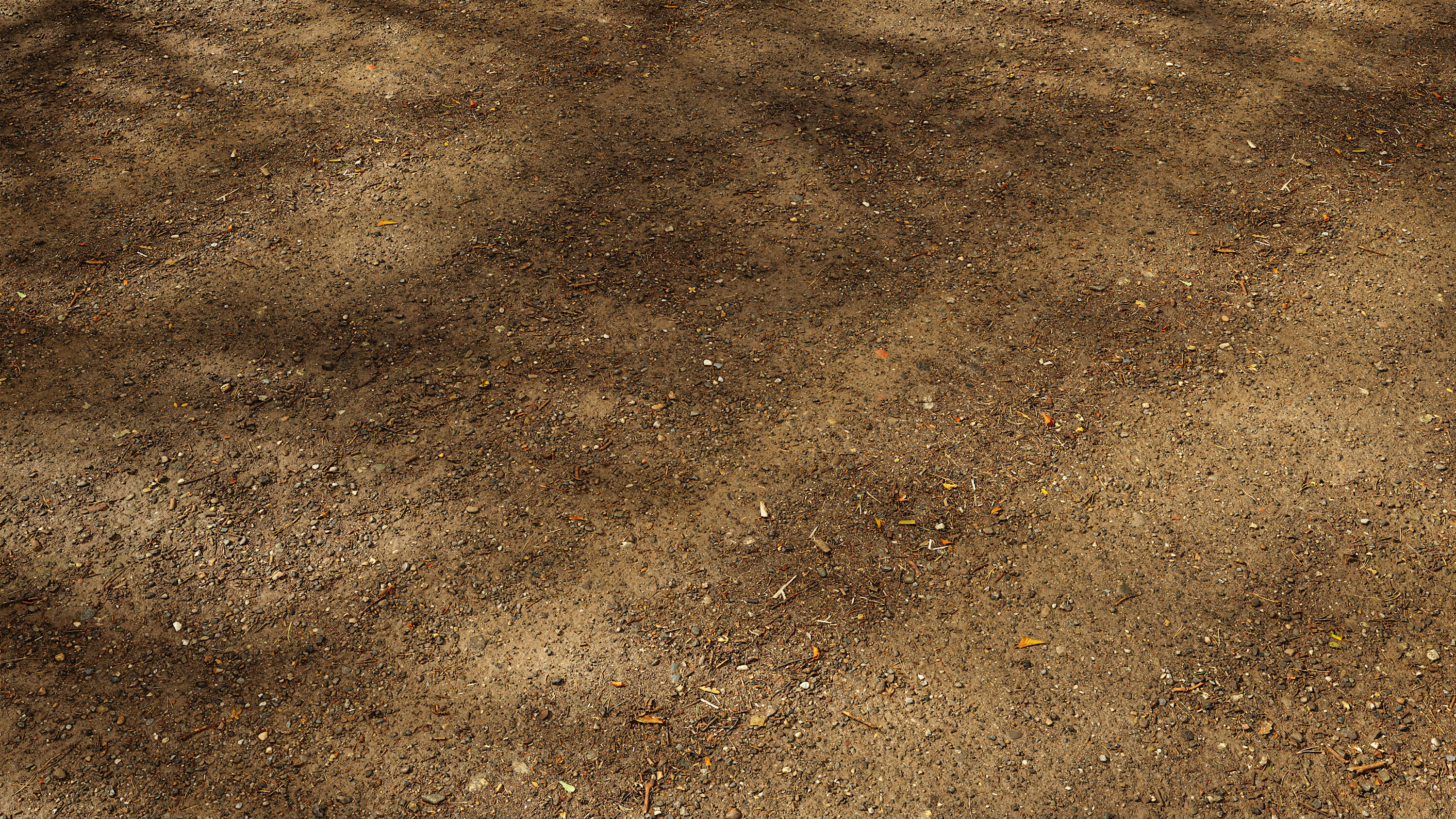 high resolution seamless forest road texture