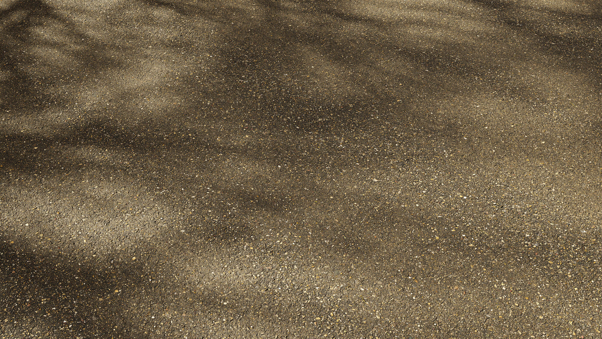 Seamless Asphalt Texture