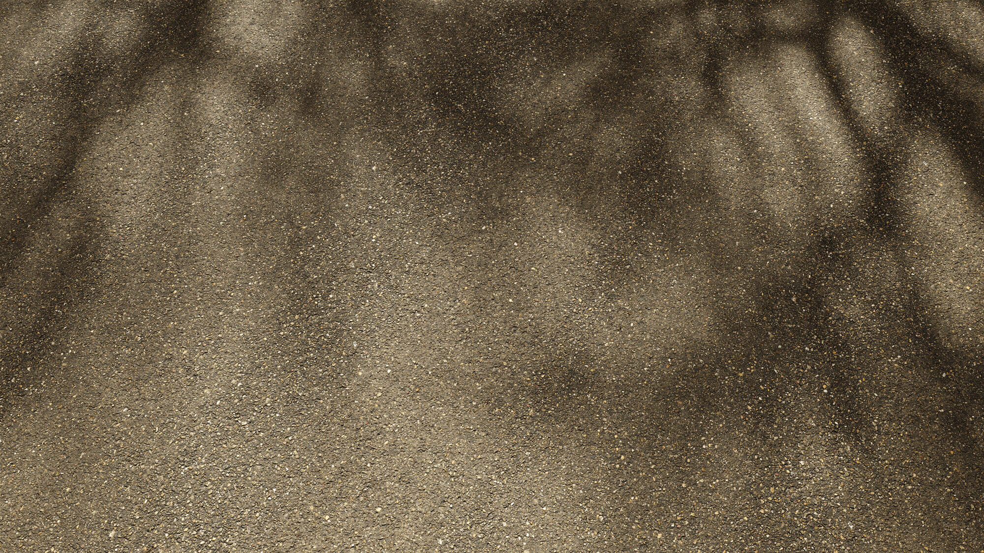 Seamless Asphalt Texture