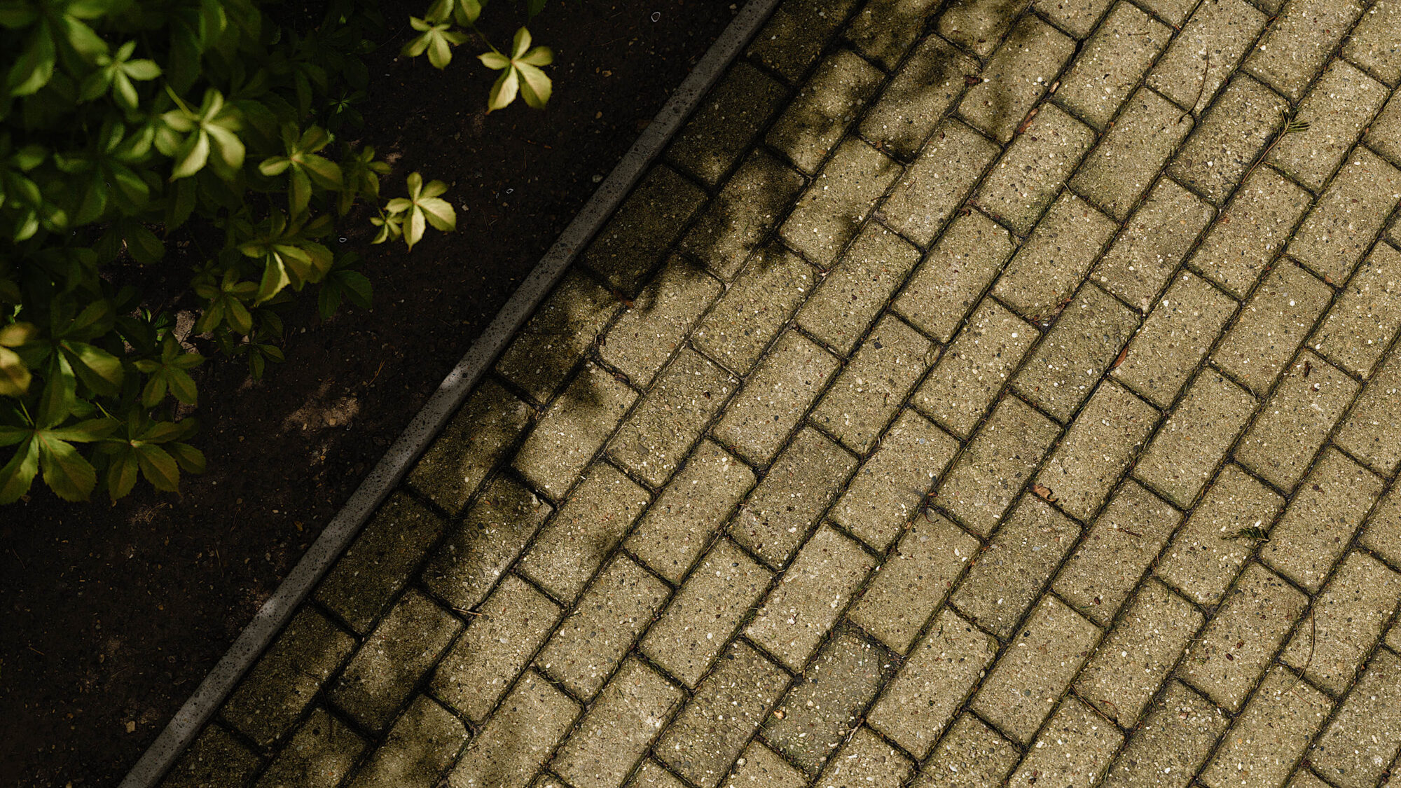 Seamless Brick Pavement Floor Texture