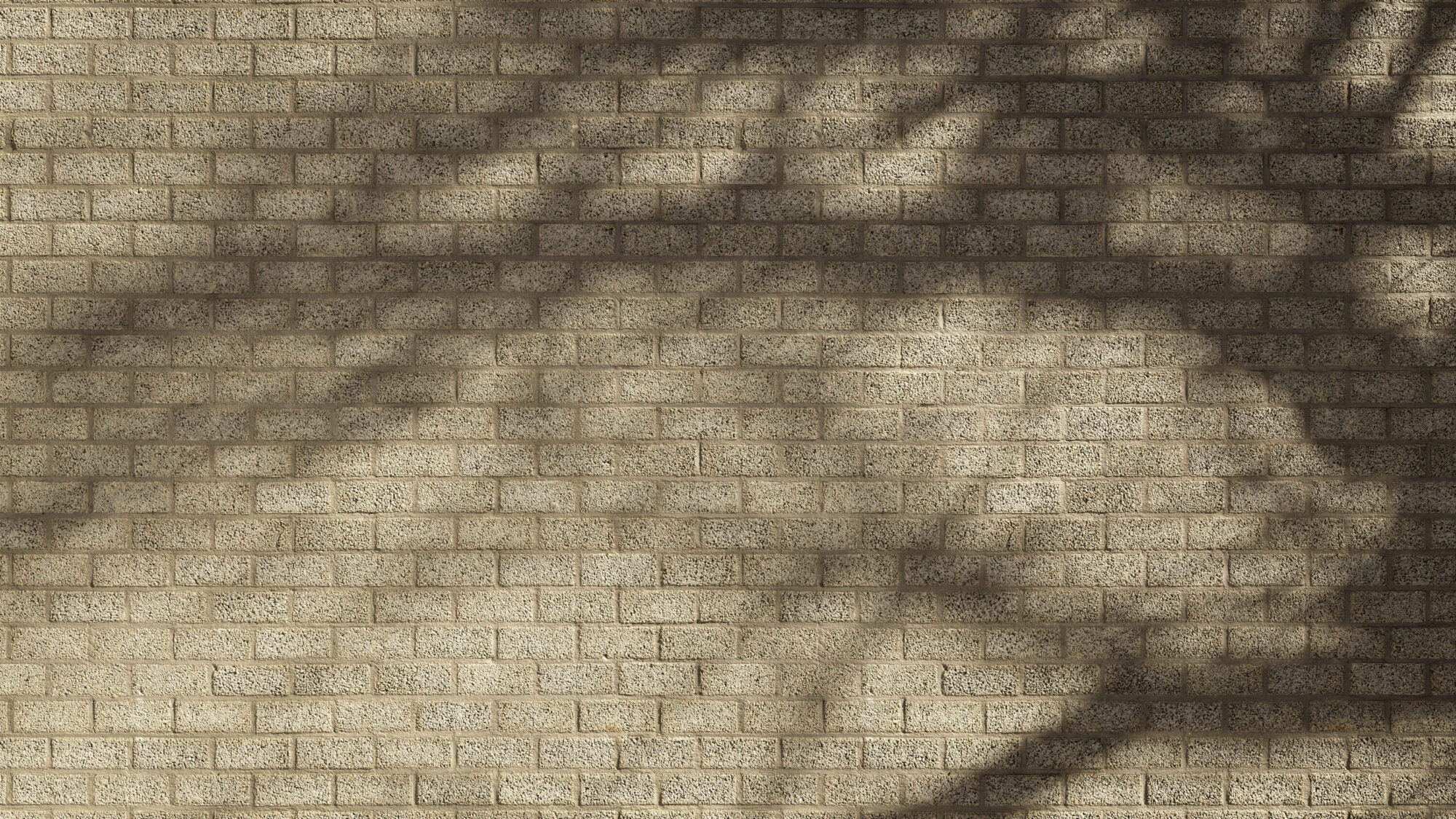 Seamless Concrete Wall Texture