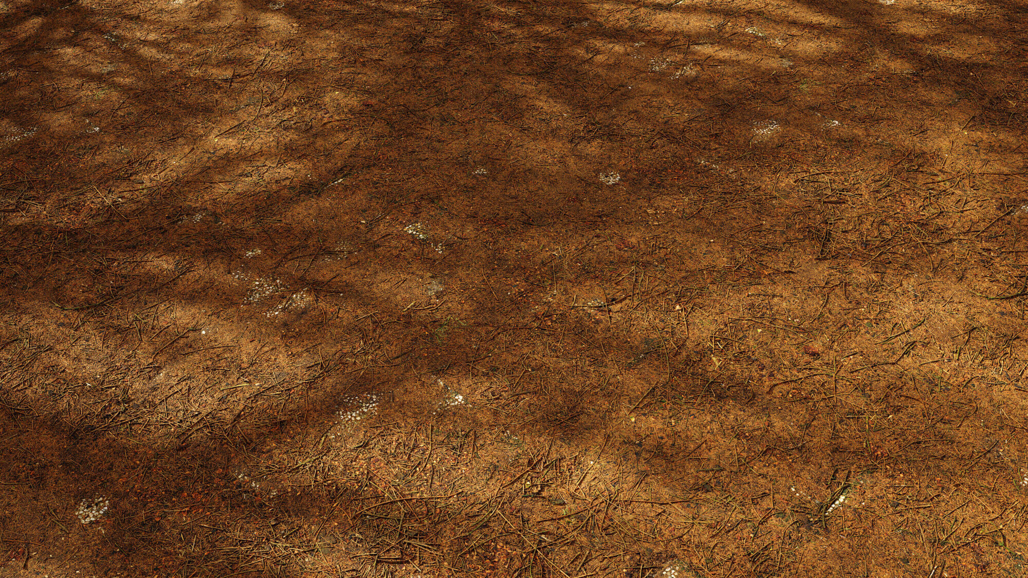 Seamless Forest Floor Texture