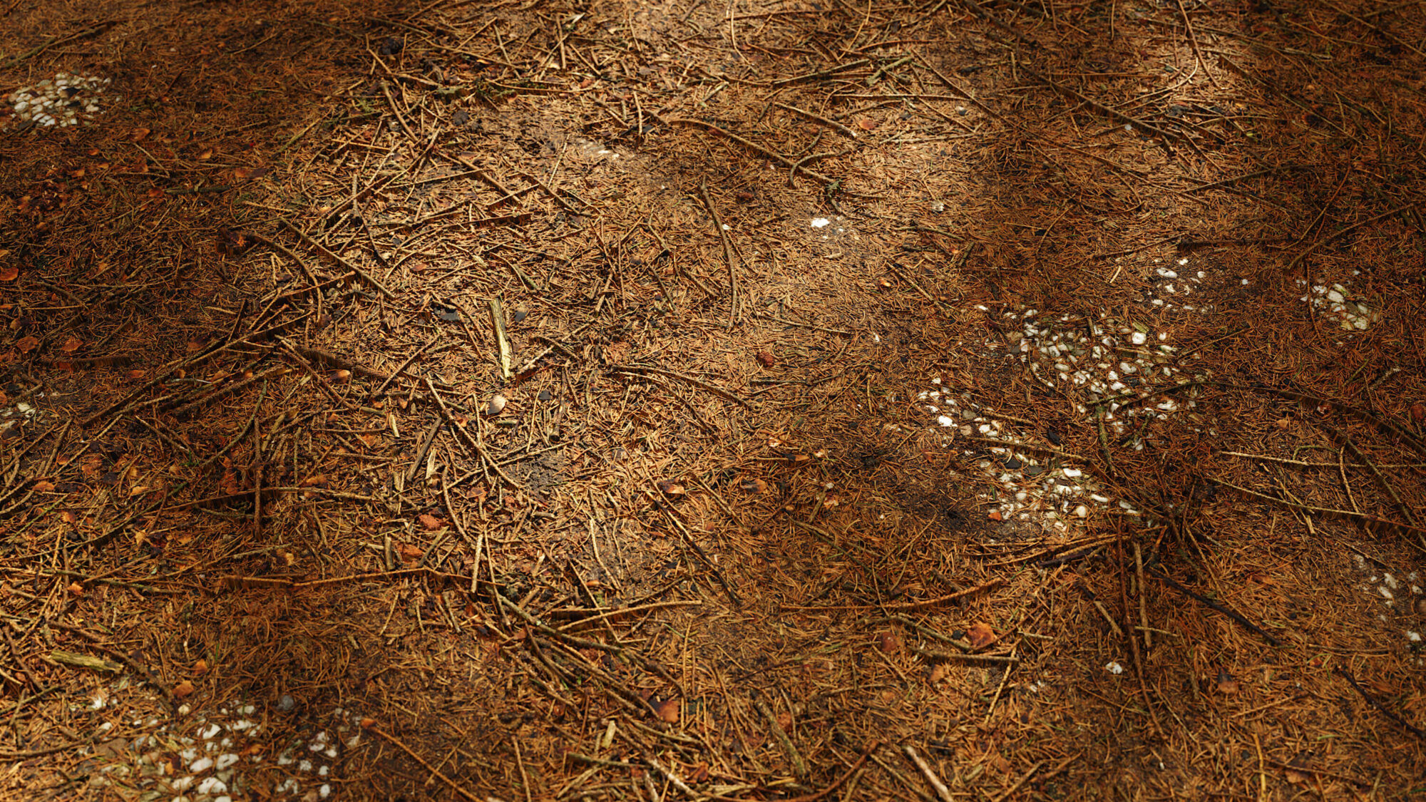 Seamless Forest Floor Texture