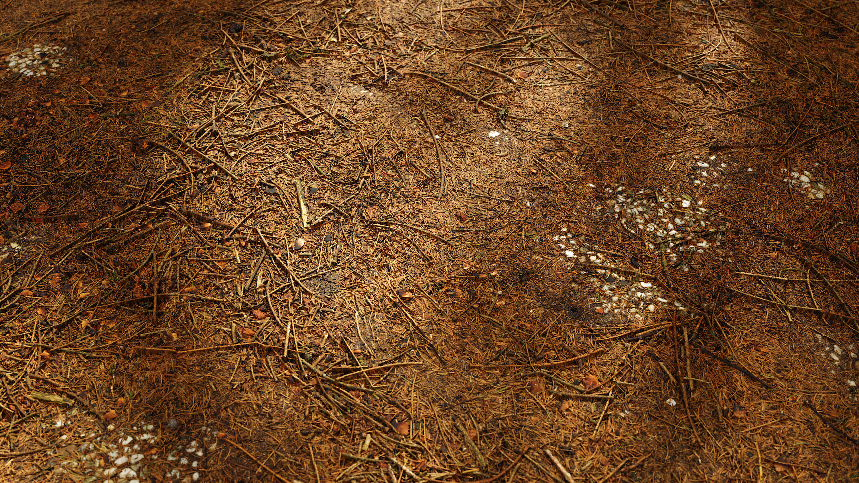 seamless forest floor texture