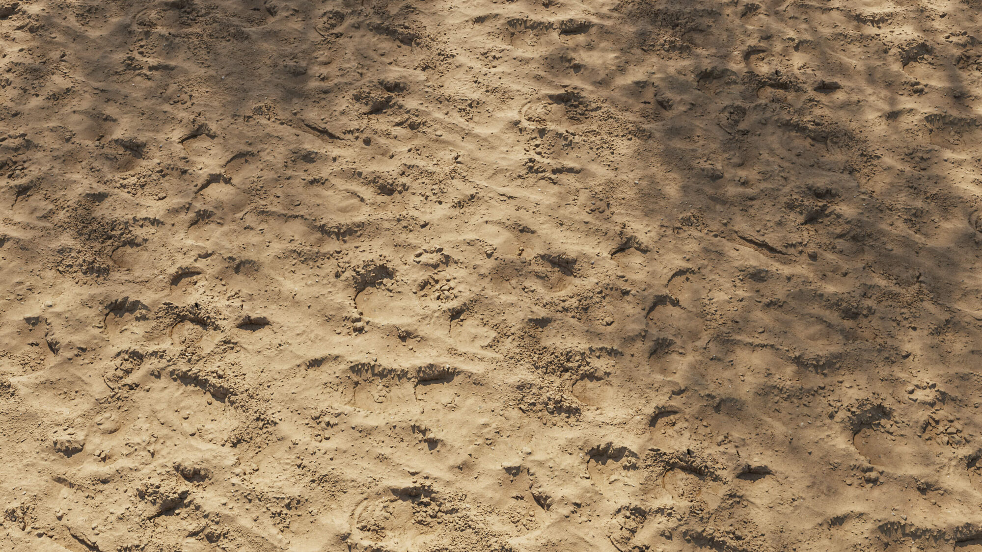 Seamless Soil Texture