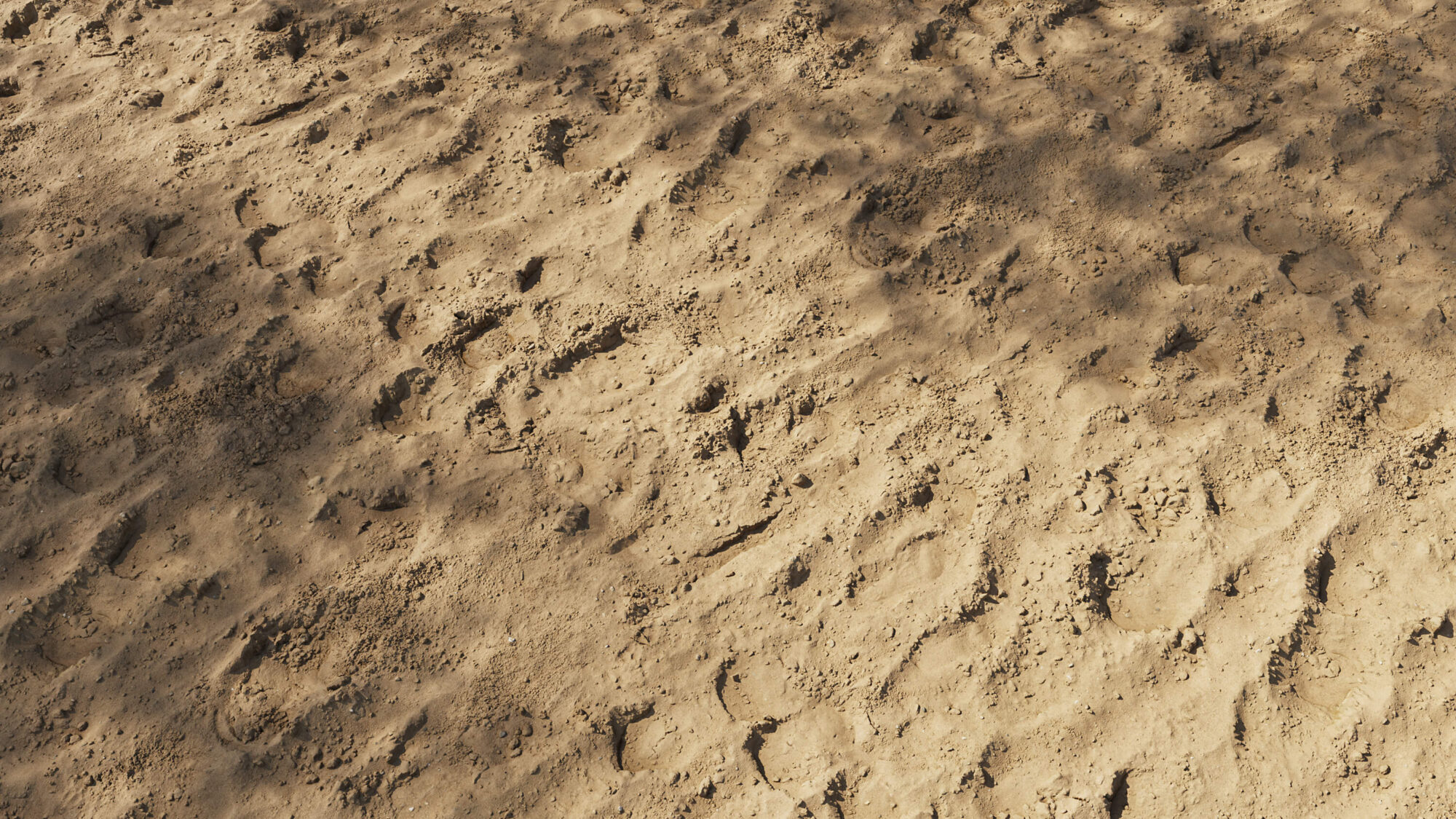 Seamless Soil Texture