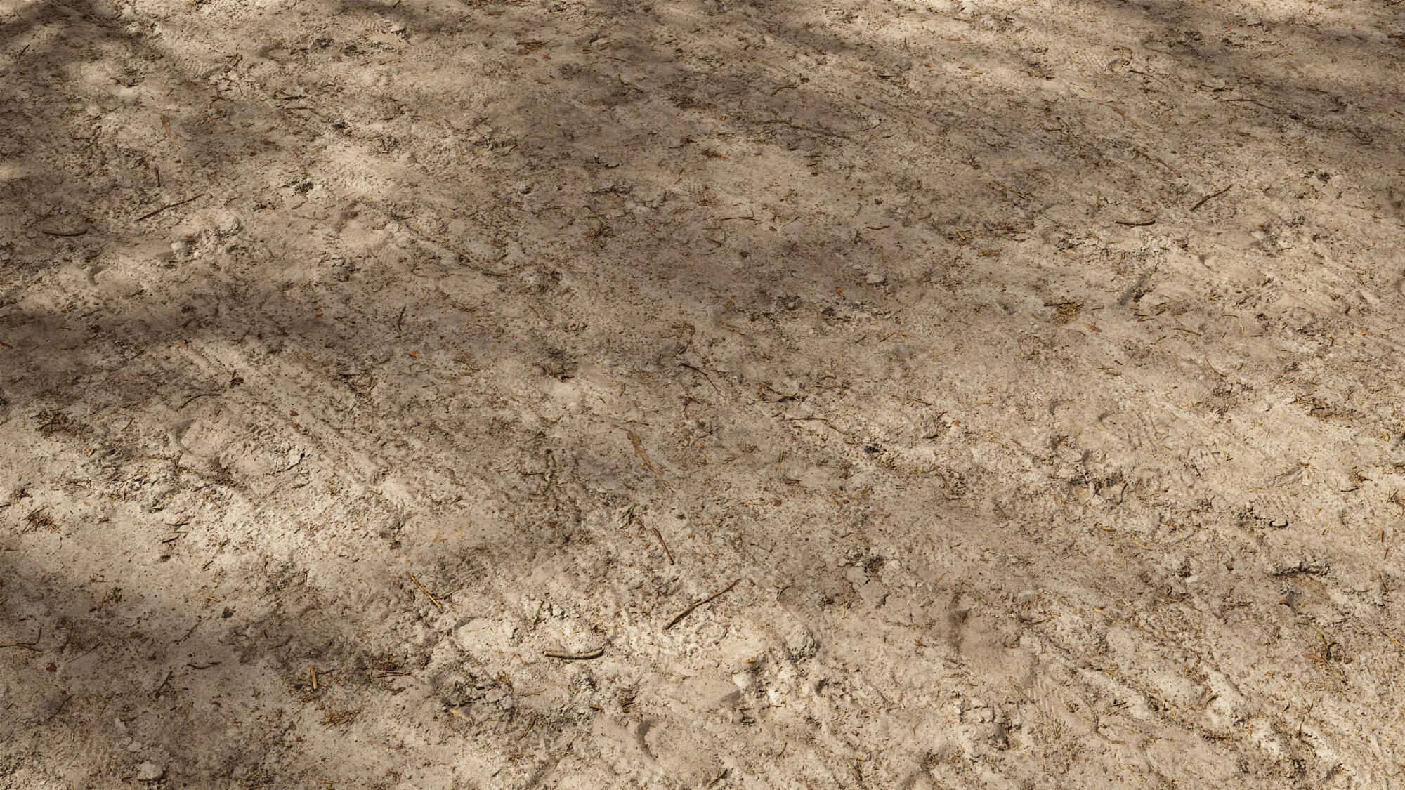 Seamless Soil Texture