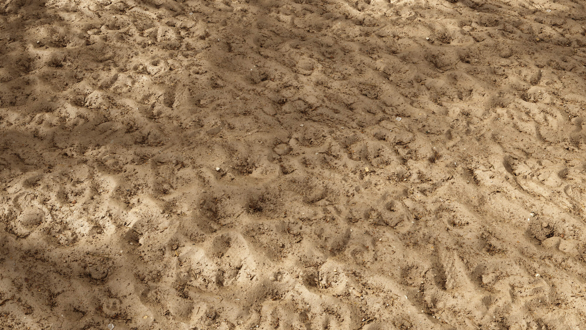 Seamless Soil Texture