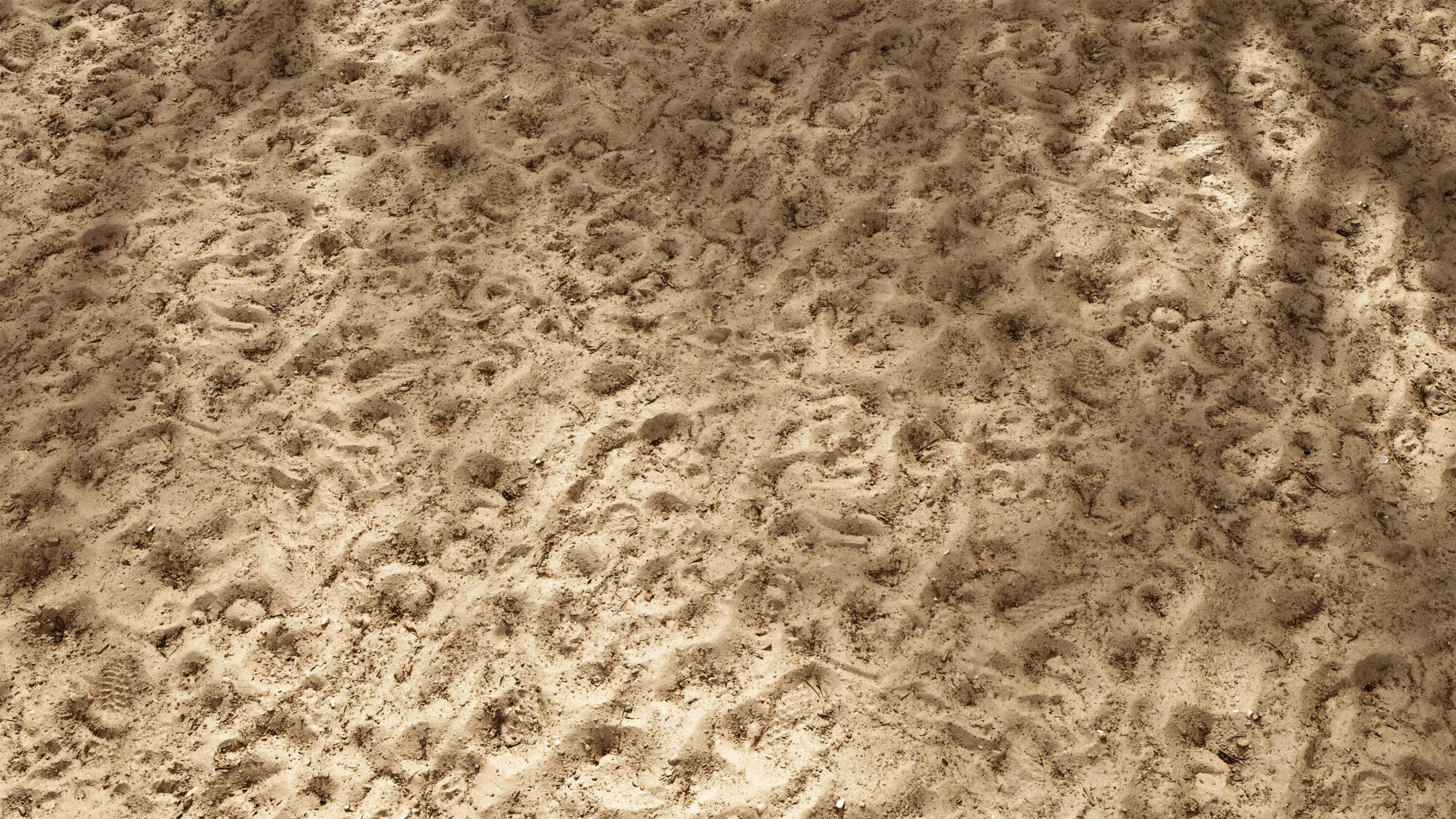 Seamless Soil Texture