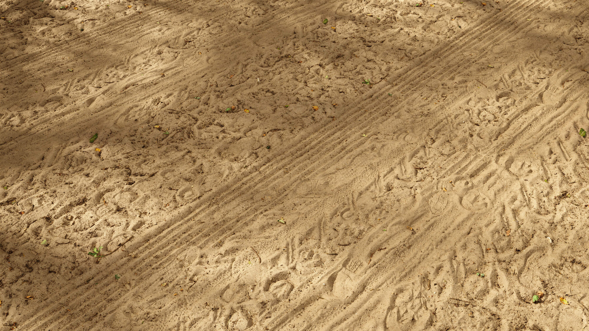 Seamless Soil Texture