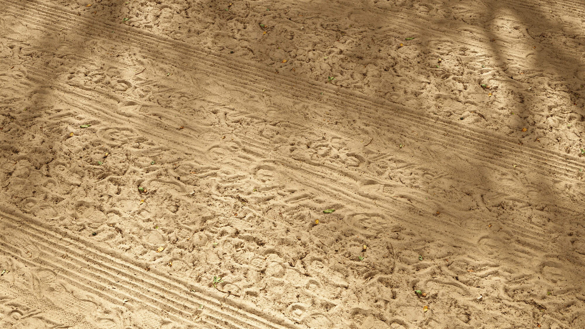 Seamless Soil Texture