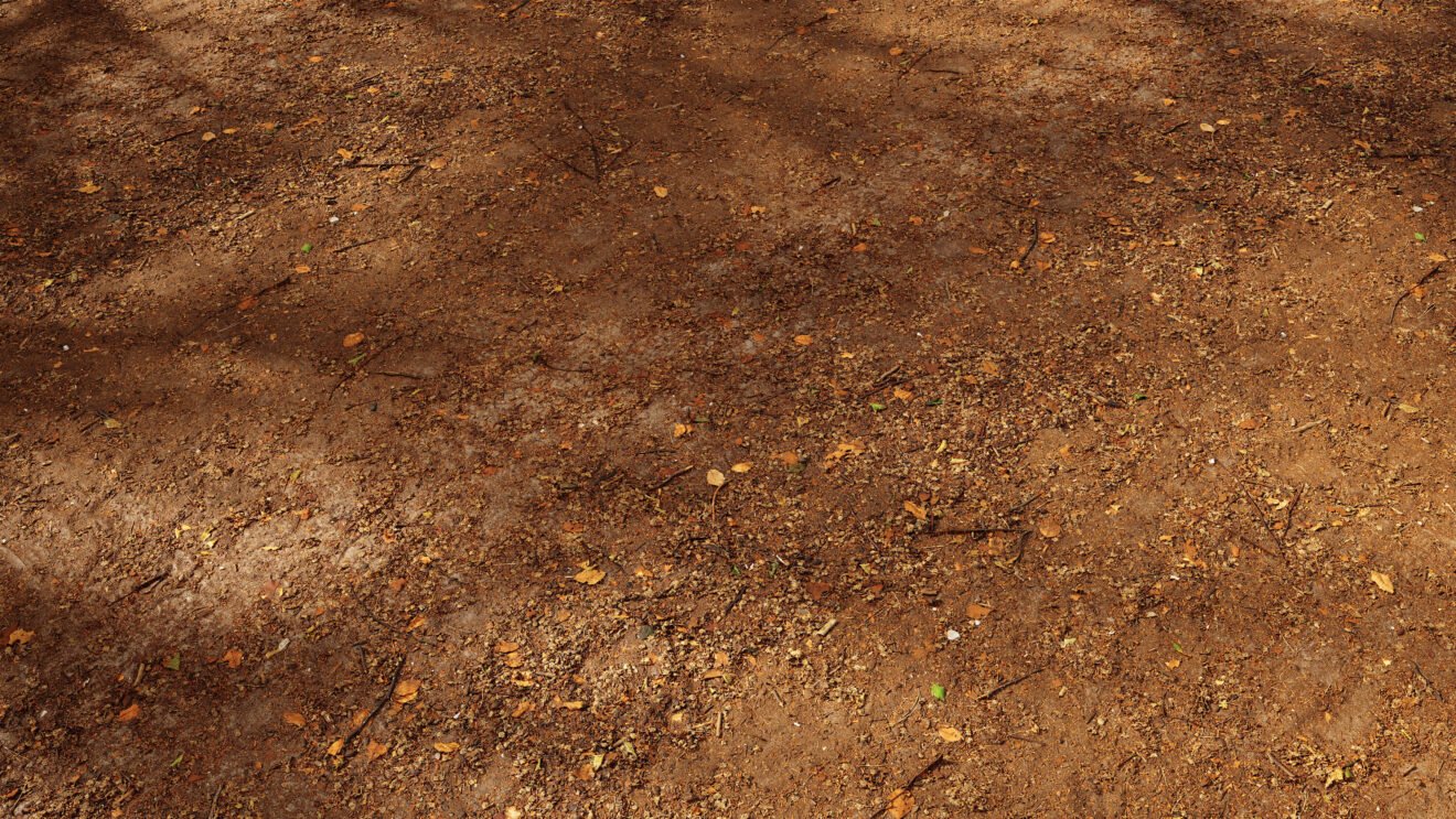Beech Forest Floor seamless PBR Texture