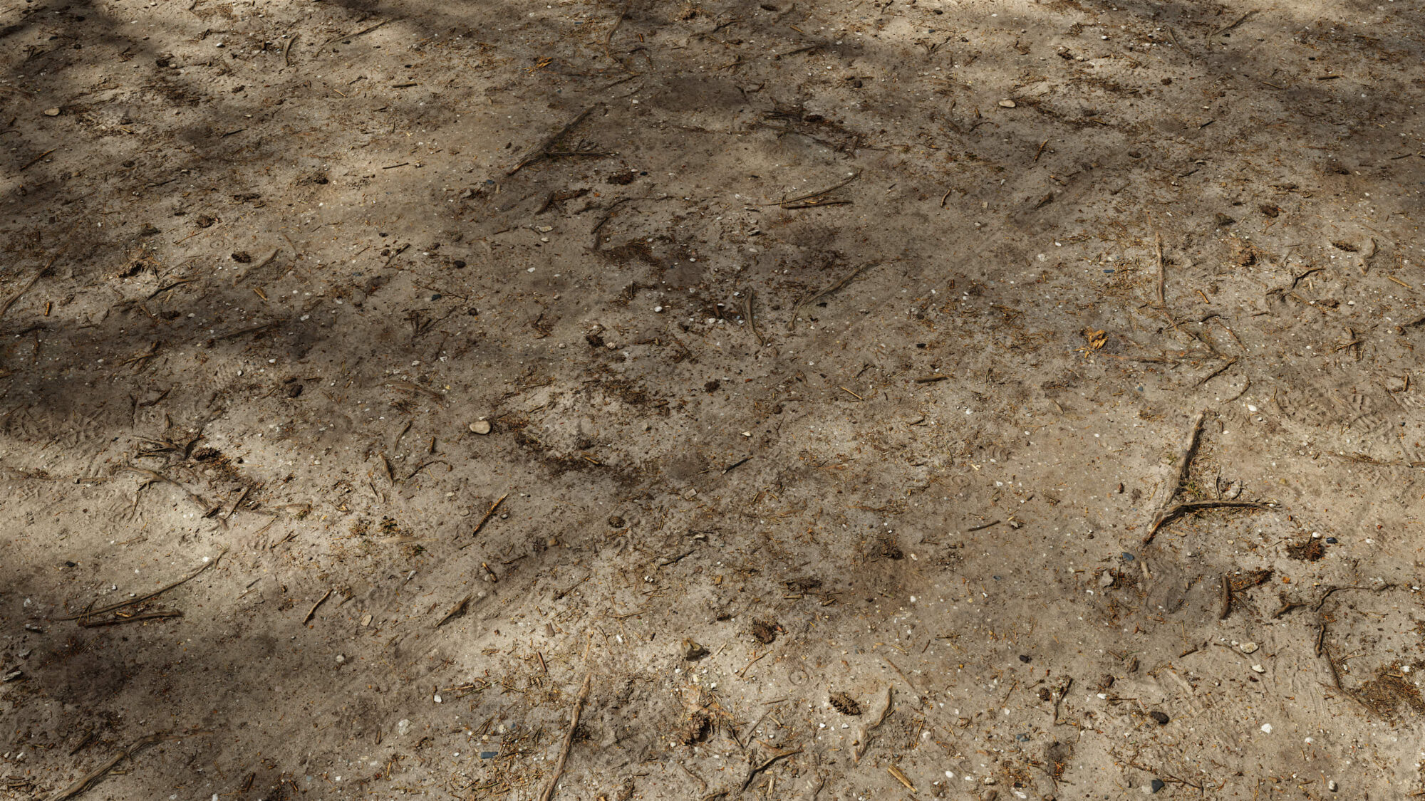 Seamless Forest Sand Texture