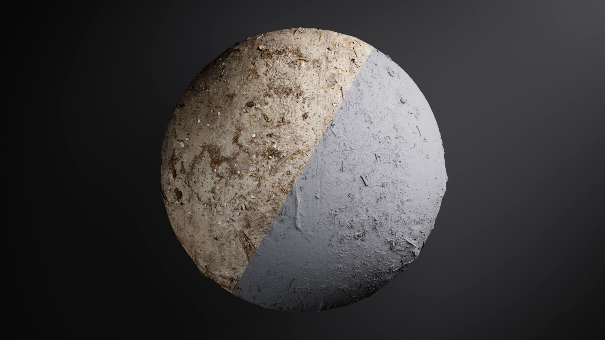 High-Resolution Seamless Forest Ground PBR Texture