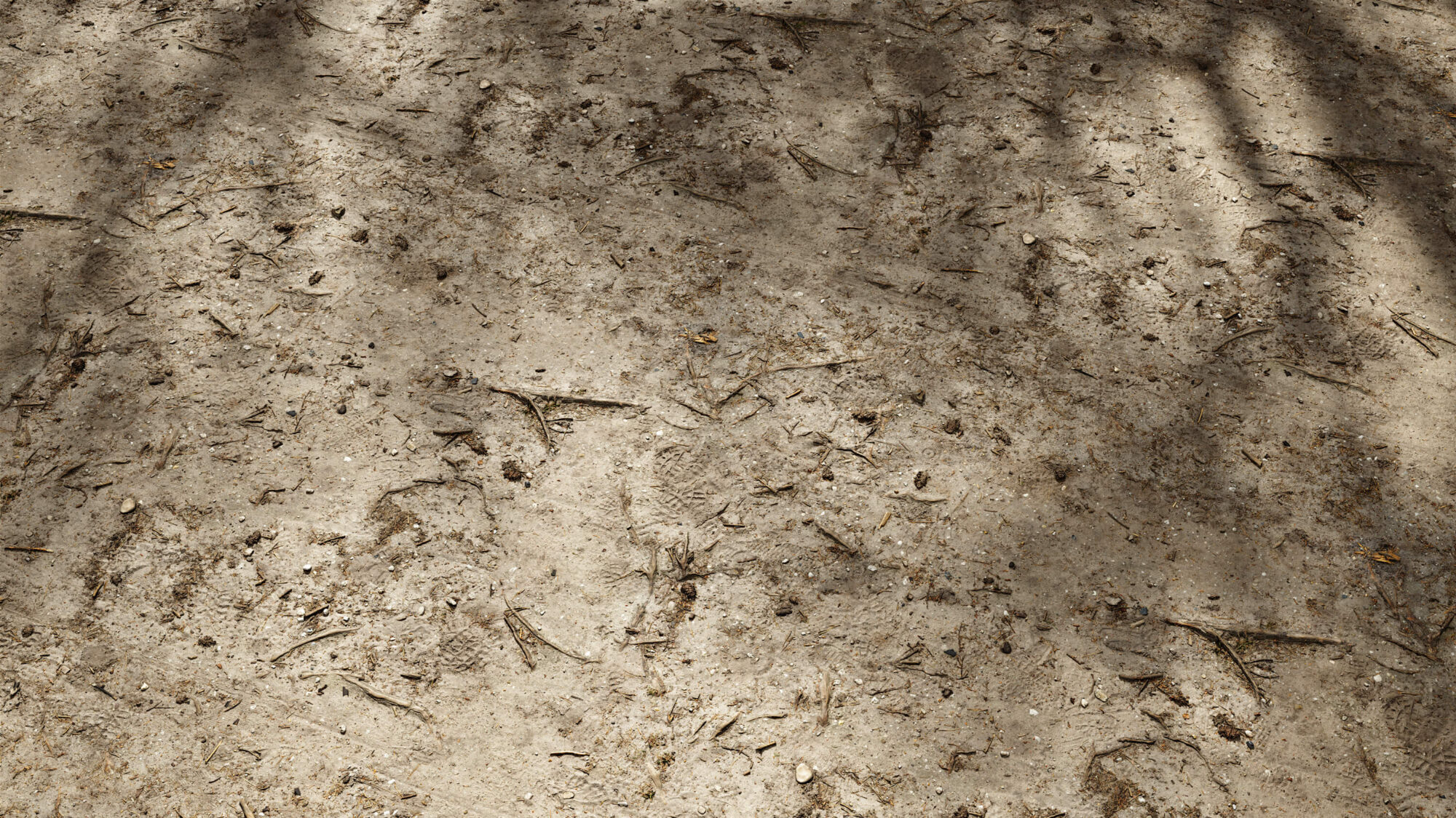 Seamless Forest Sand Texture