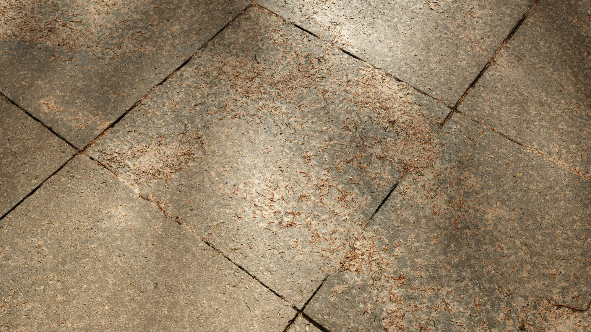 Seamless Concrete Tiles Texture