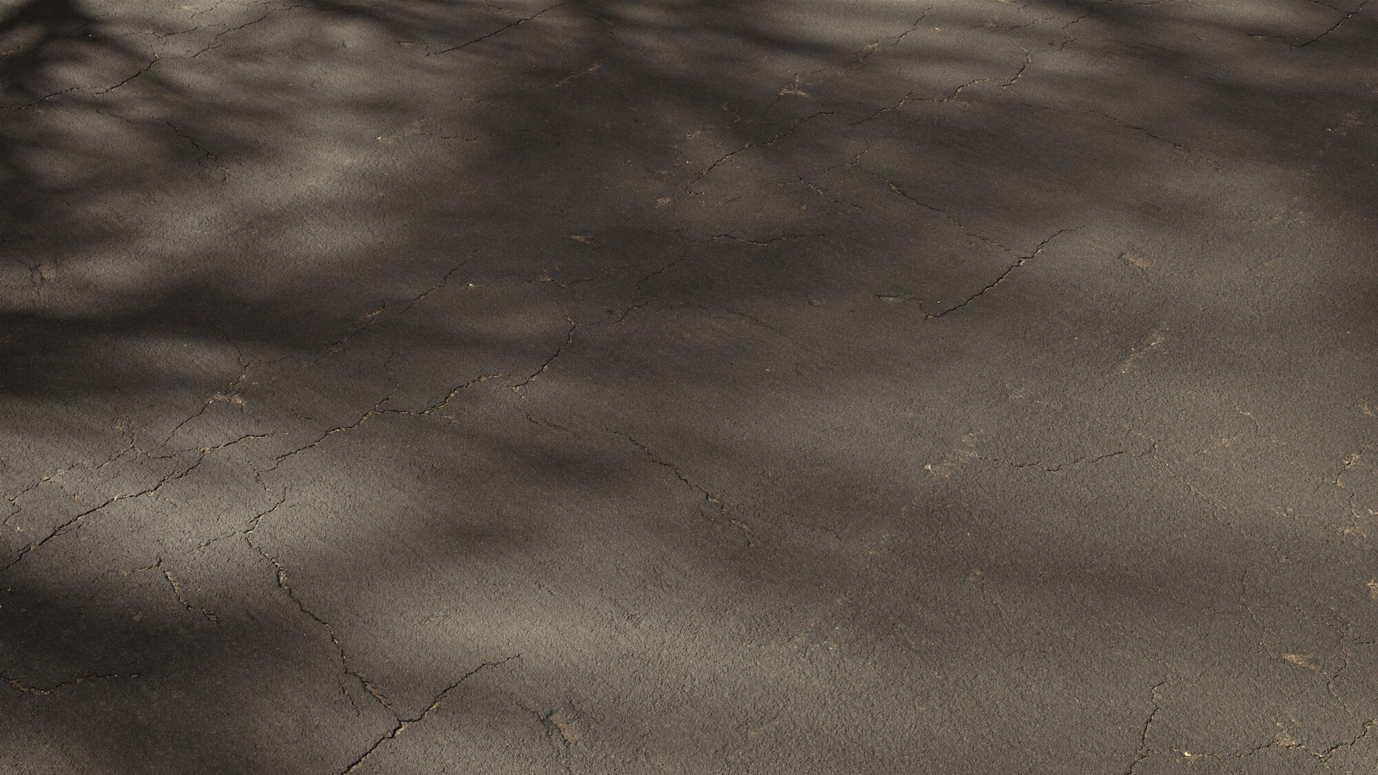 Seamless Cracked Asphalt Texture