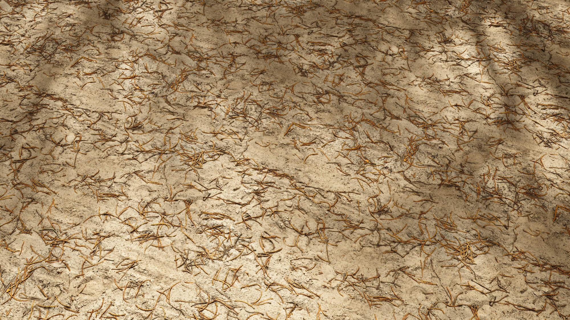 Seamless Soil Texture