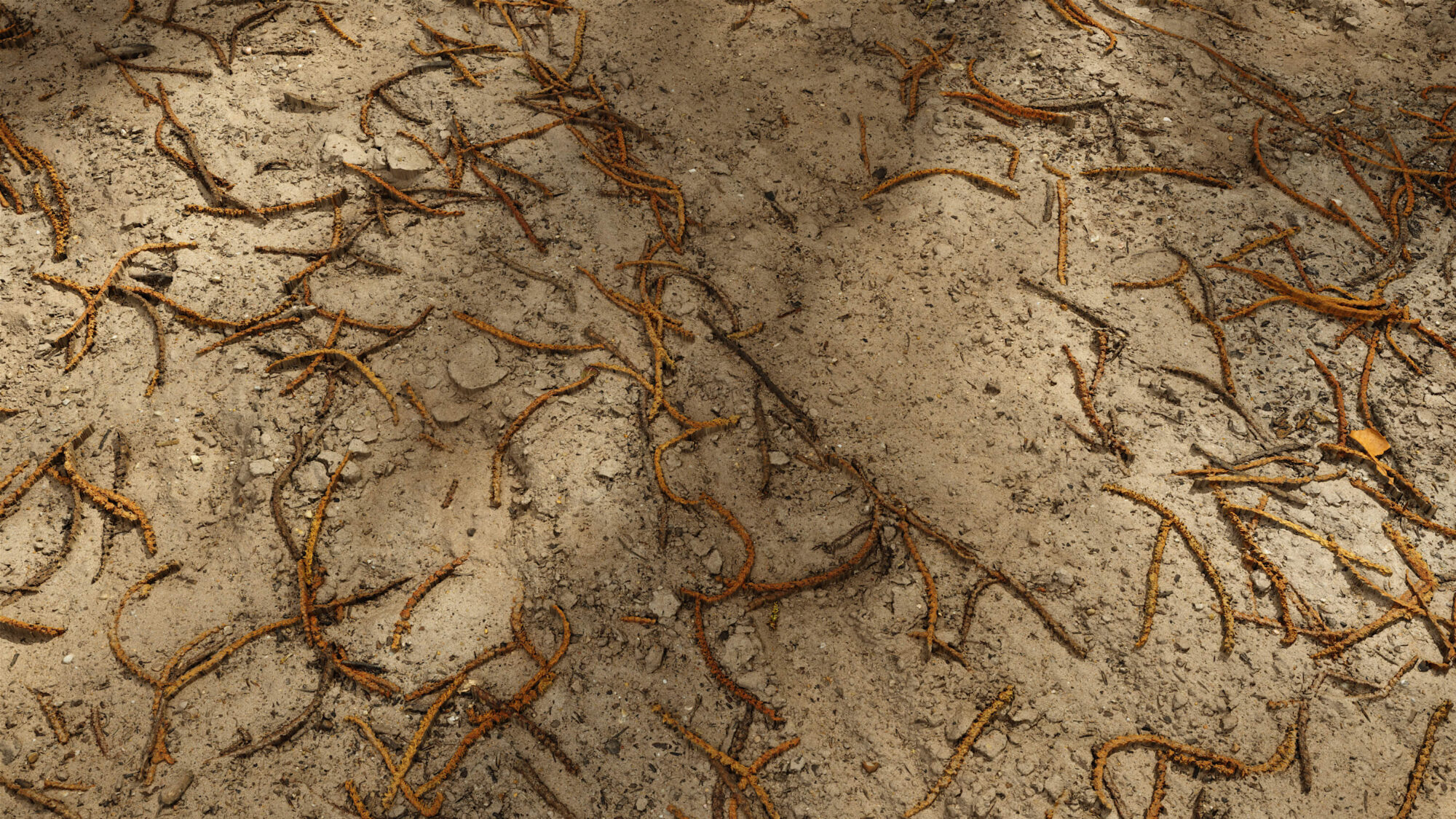 Seamless Soil Texture