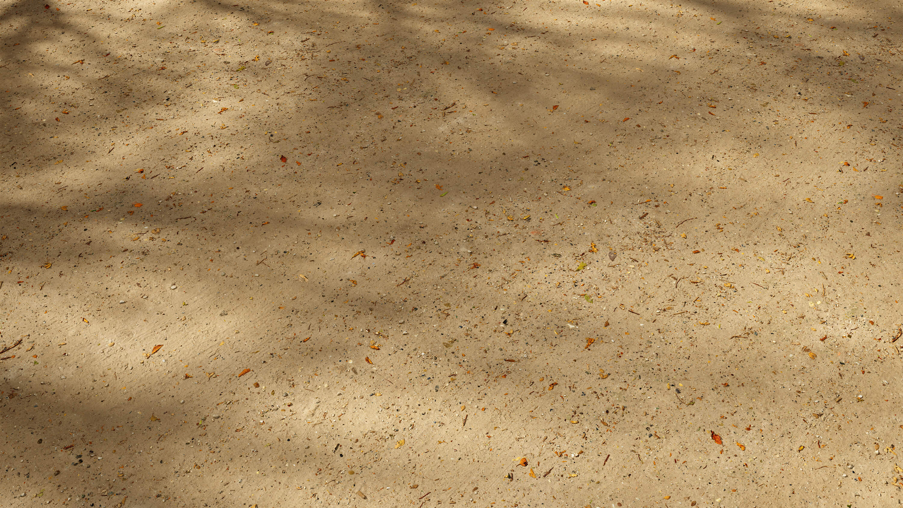 3d scanned sand road seamless texture