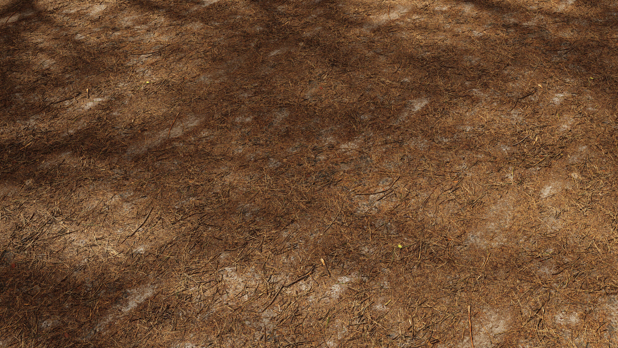 Seamless Forest Floor Texture