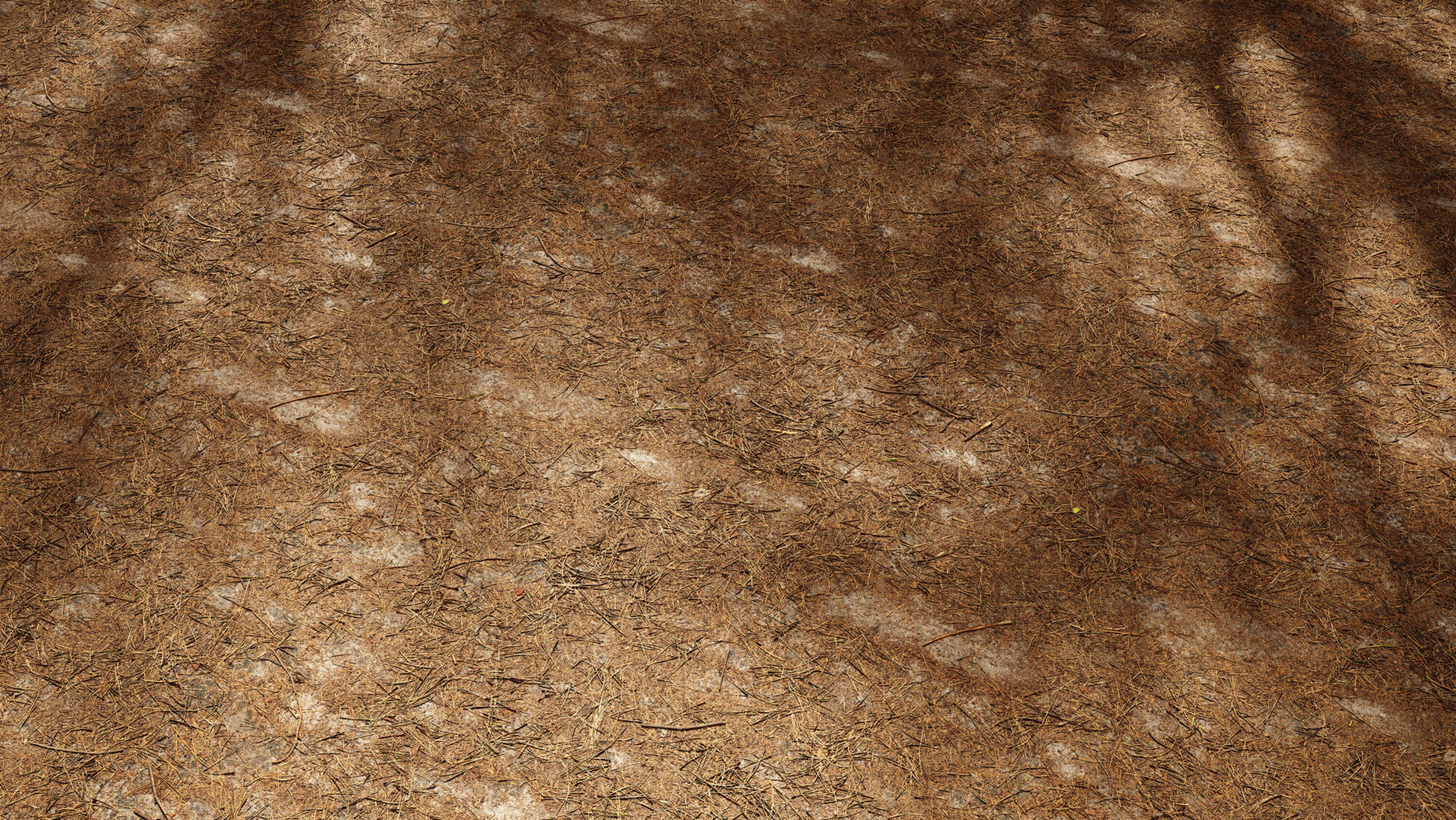 Seamless Forest Floor Texture