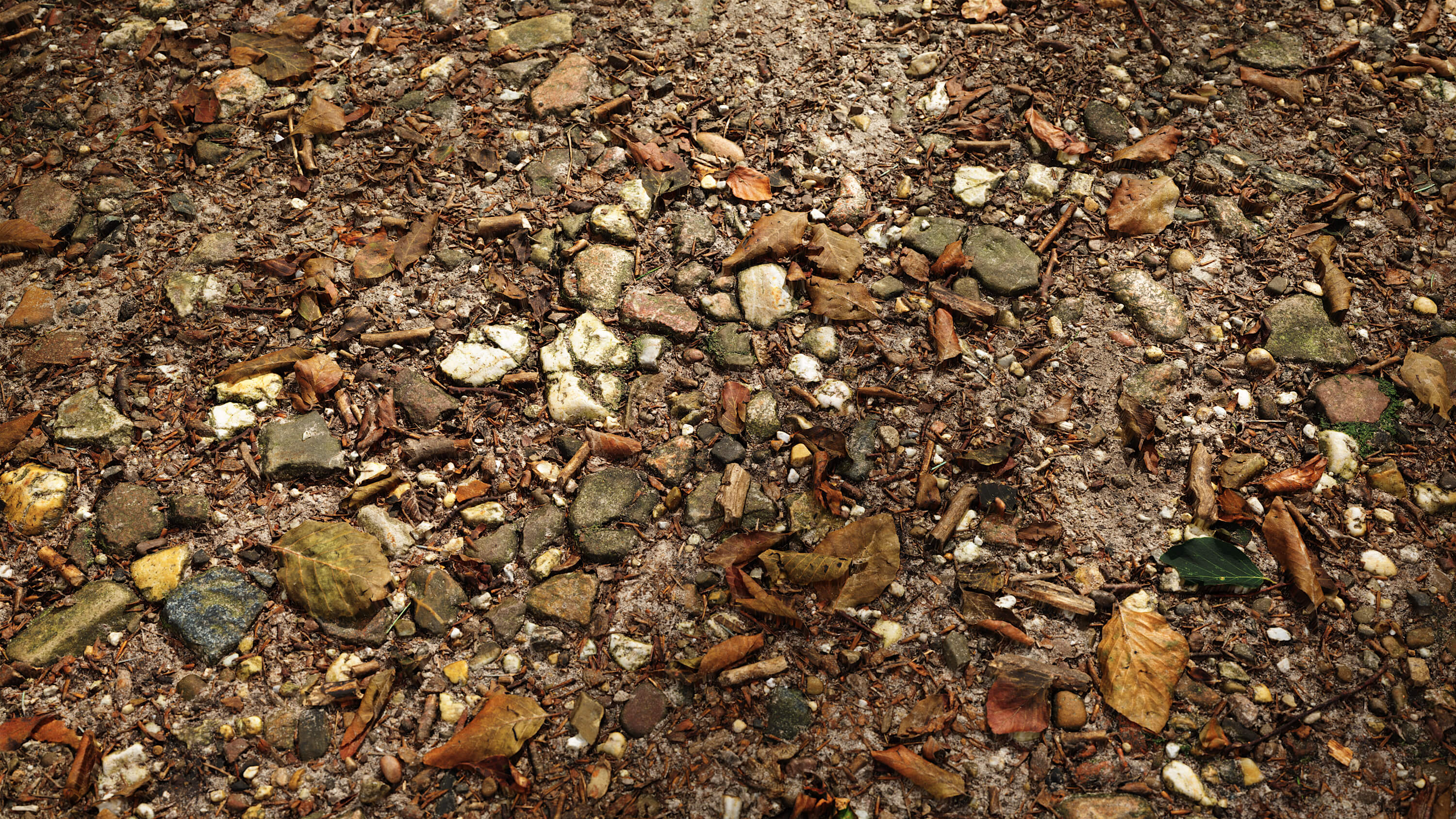 seamless Rocky Forest Ground texture