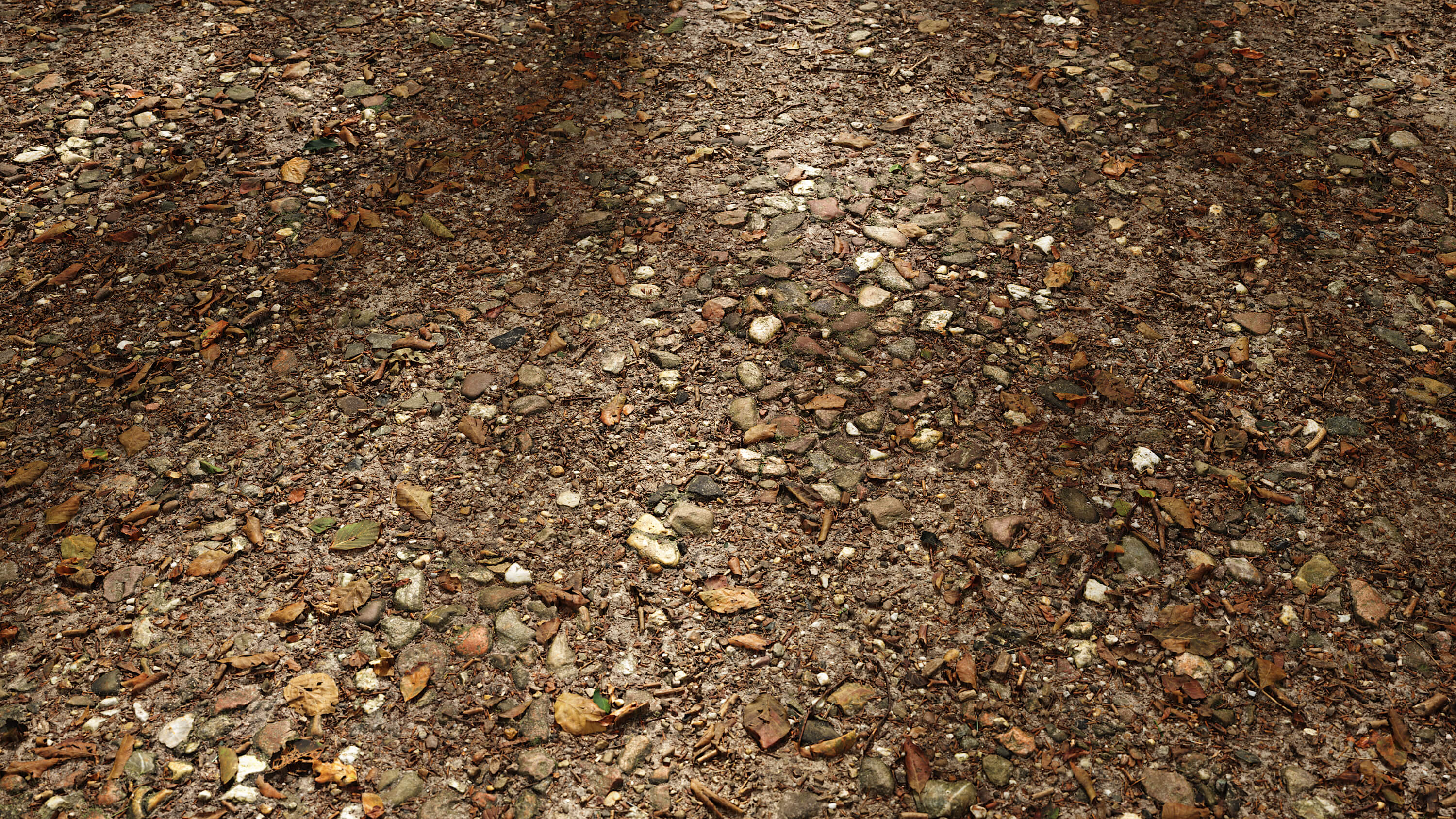 seamless Rocky Forest Ground texture