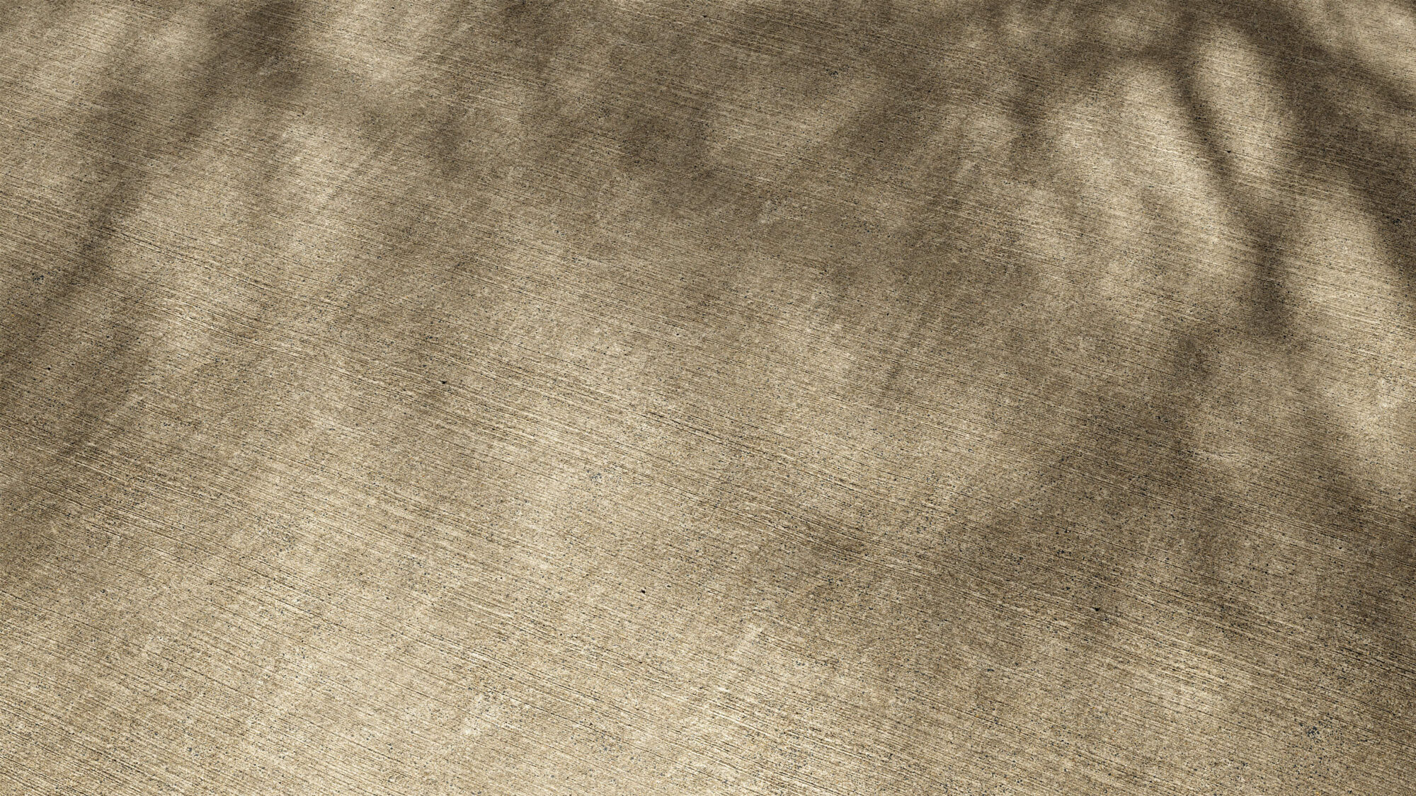 Seamless Rough Concrete Texture