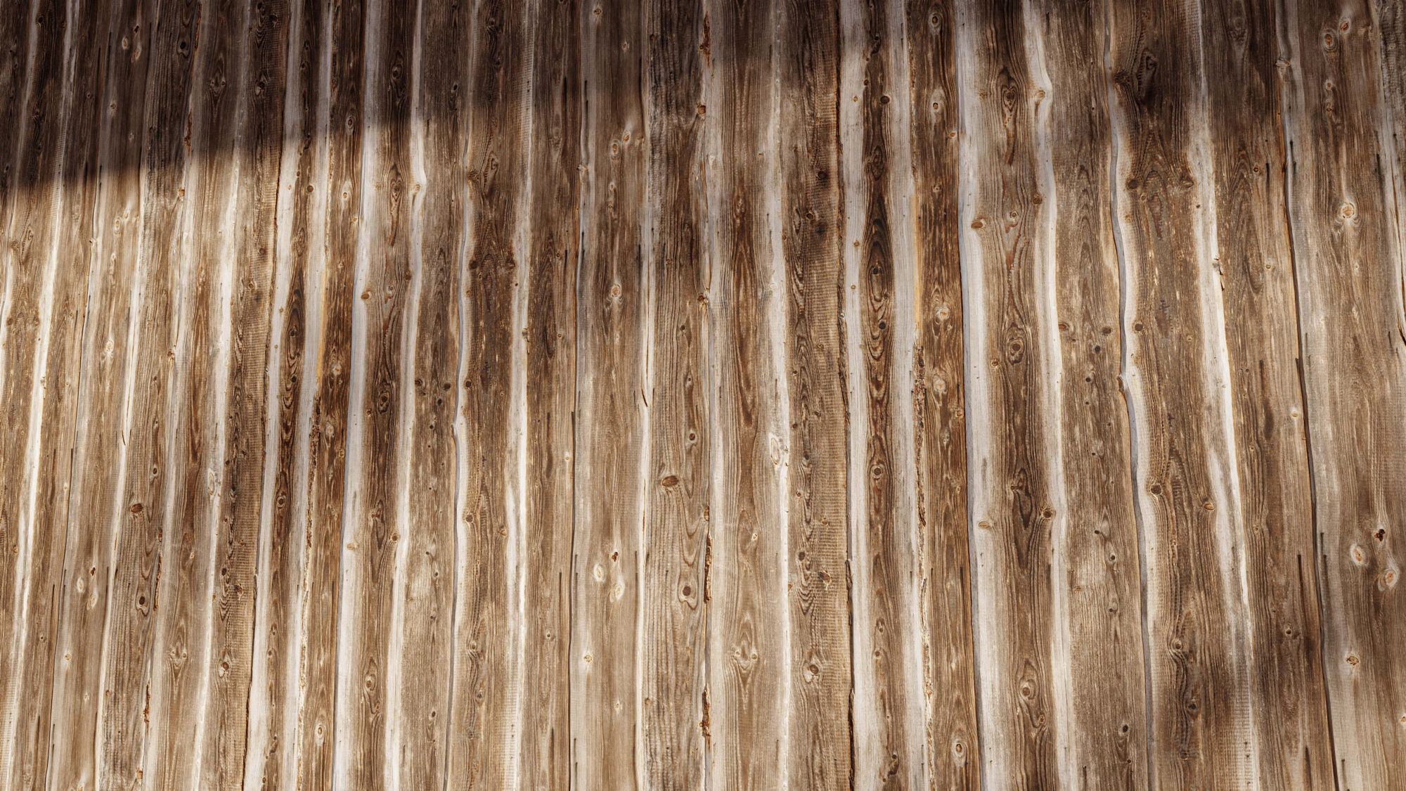 Seamless Wooden Planks Texture