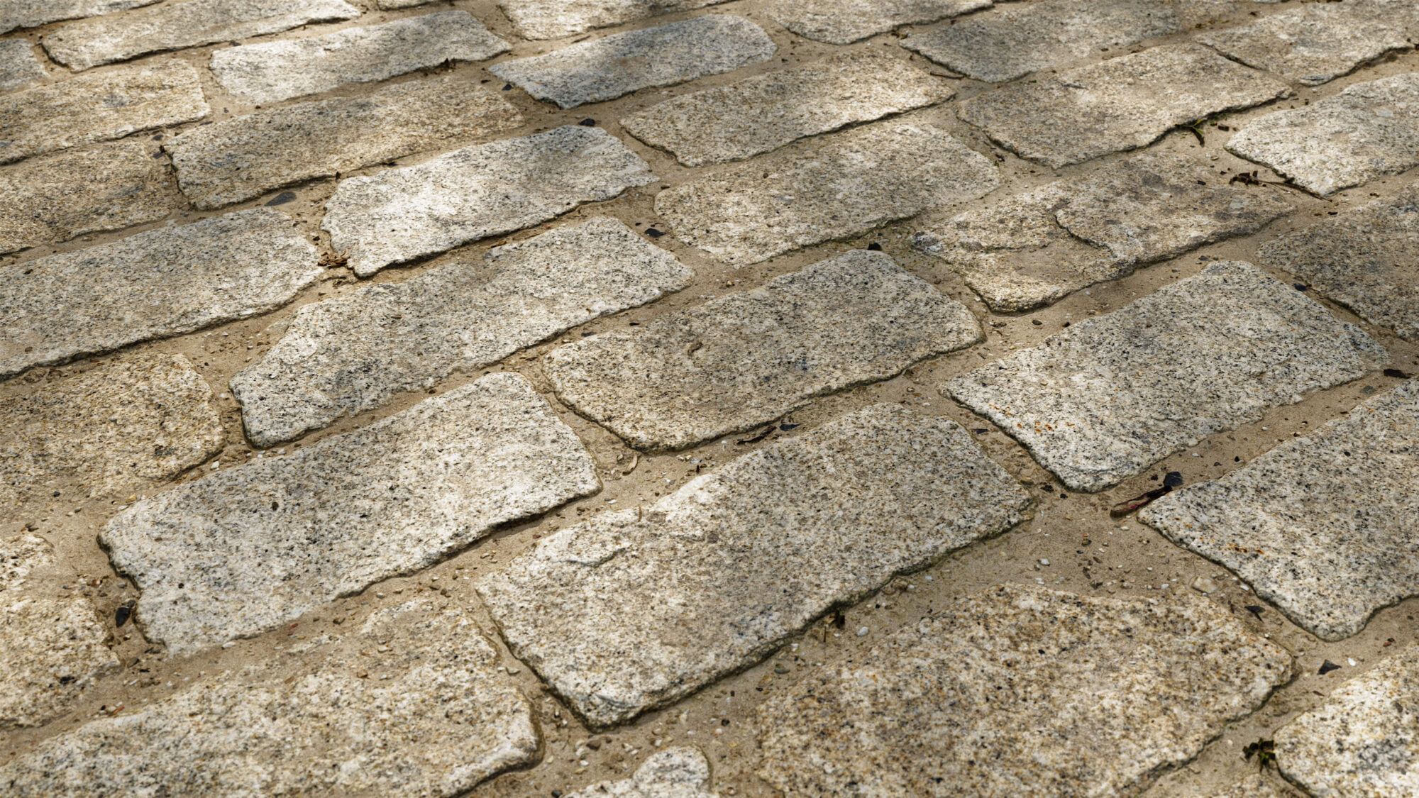 Seamless Stone Pavement Texture