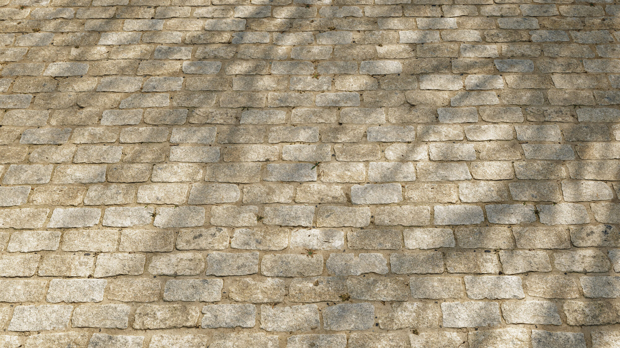 Seamless Stone Pavement Texture