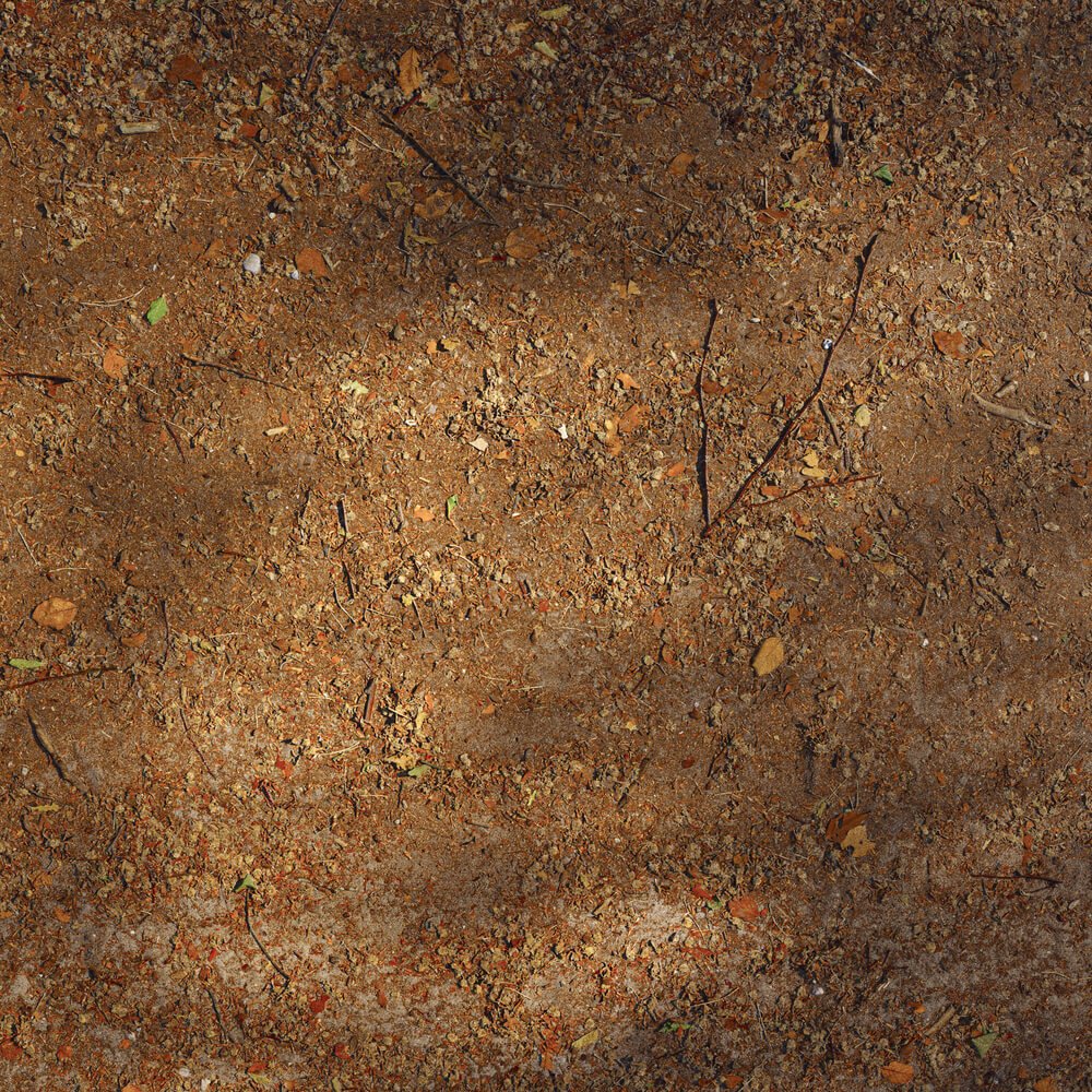 High-Resolution Seamless Forest Floor PBR Texture