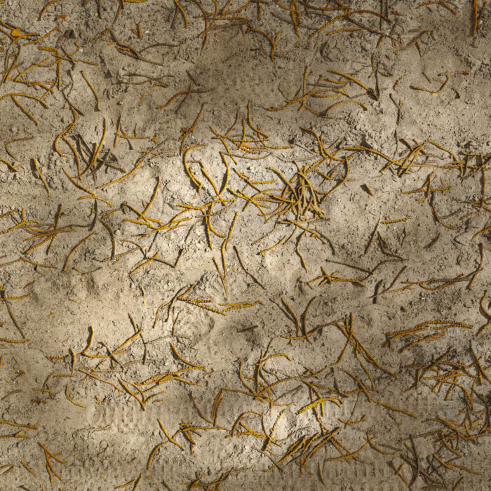 High-Resolution Seamless Forest Floor PBR Texture