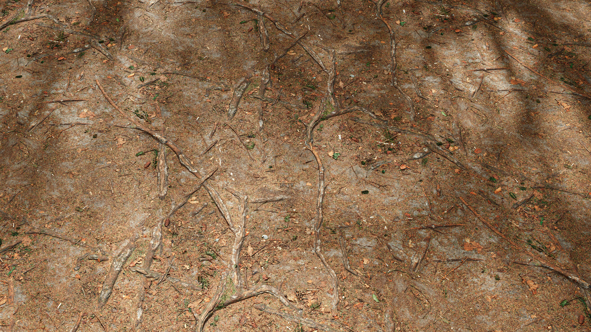 Seamless Forest Floor Texture