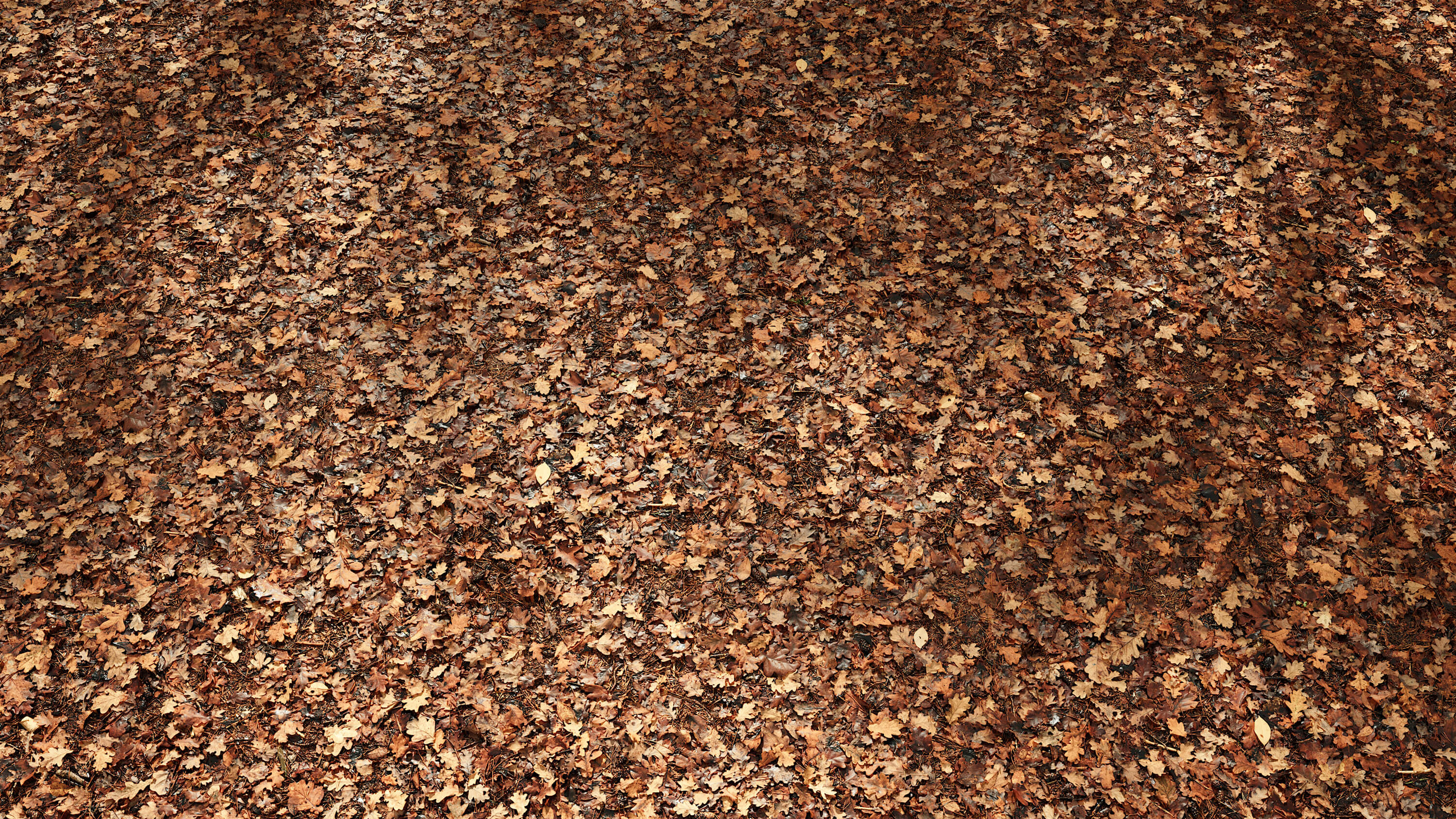 high resolution seamless forest leaves ground texture