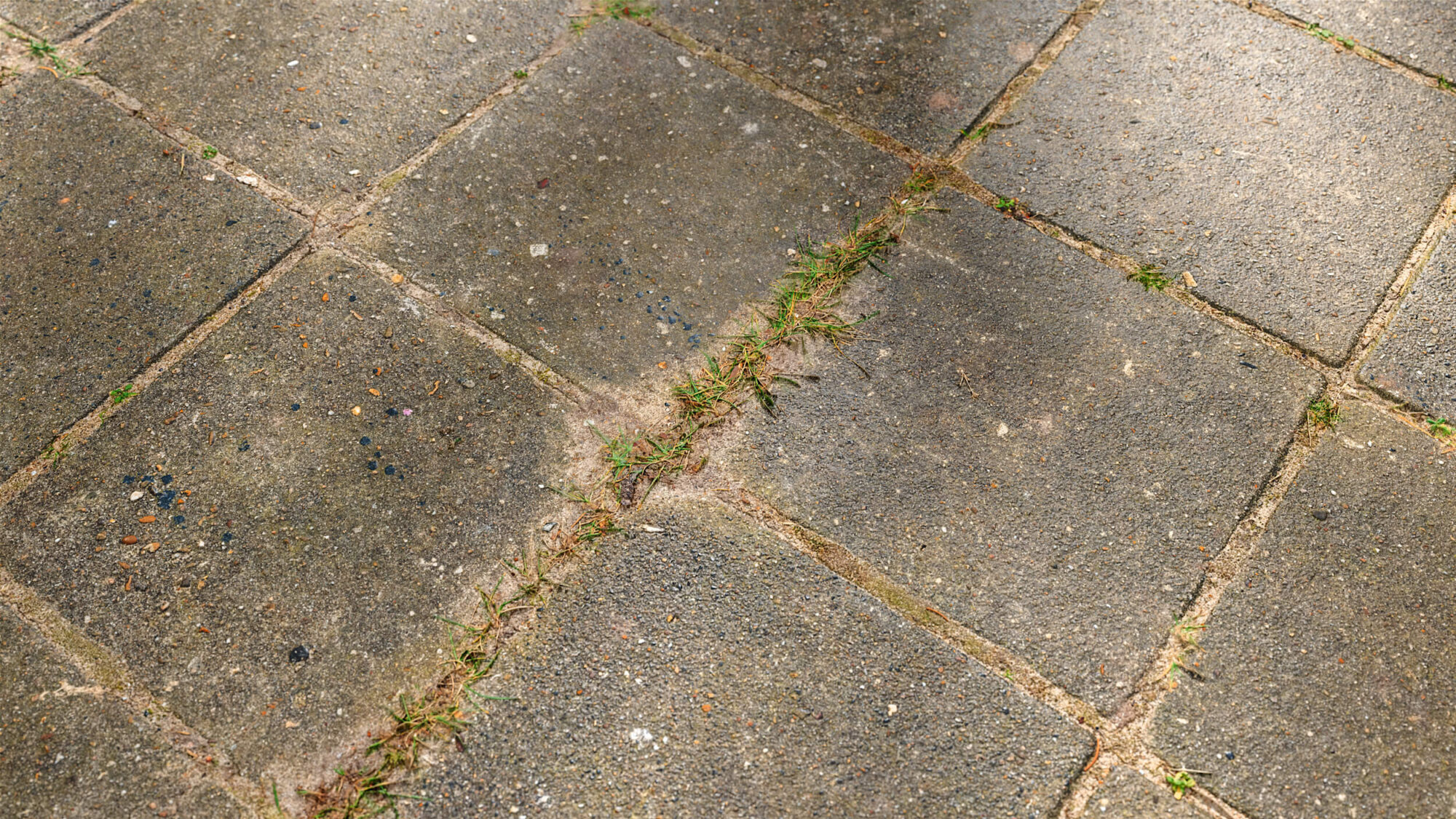 Seamless Brick Pavement Texture