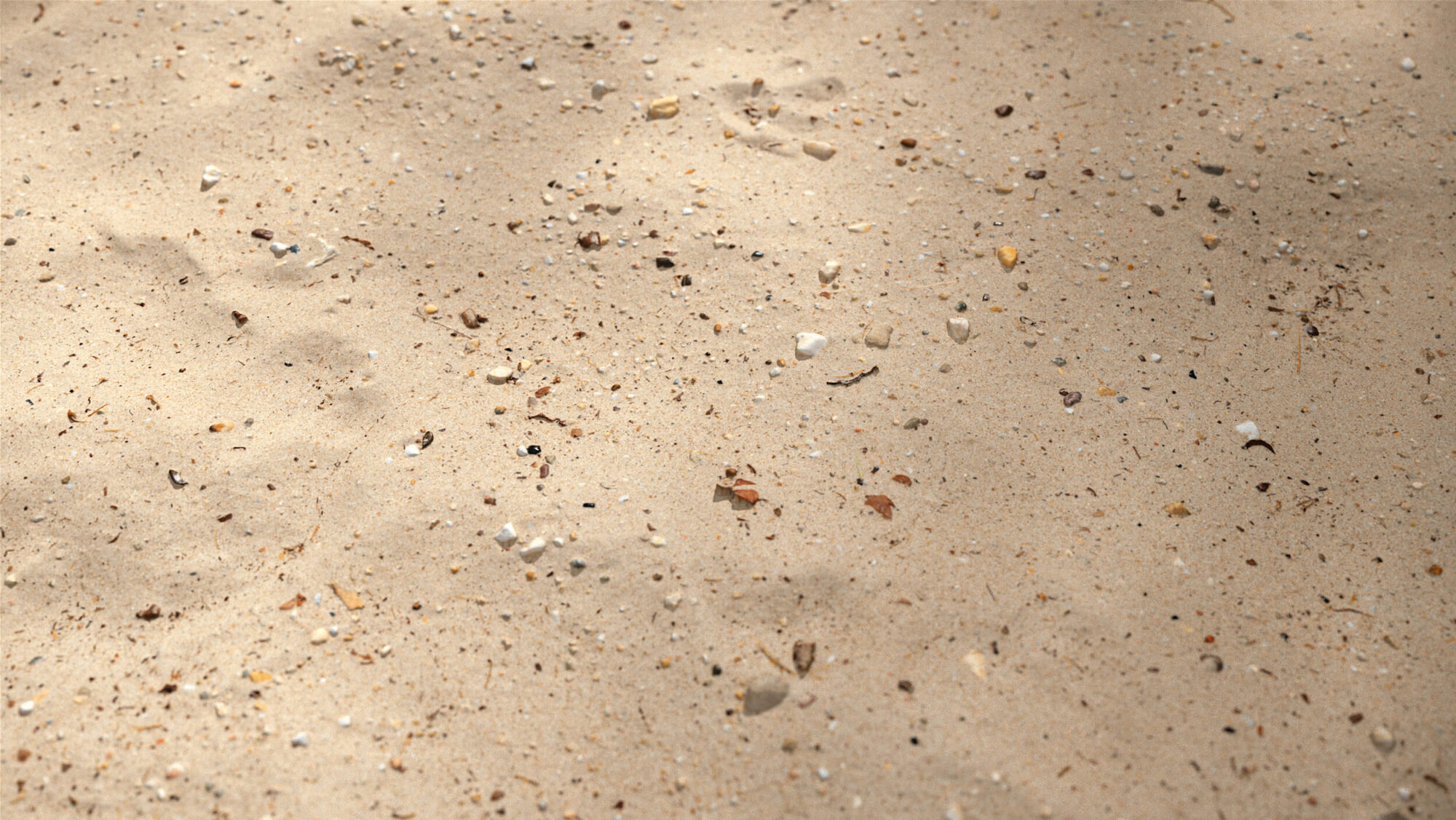 Seamless Sand Texture