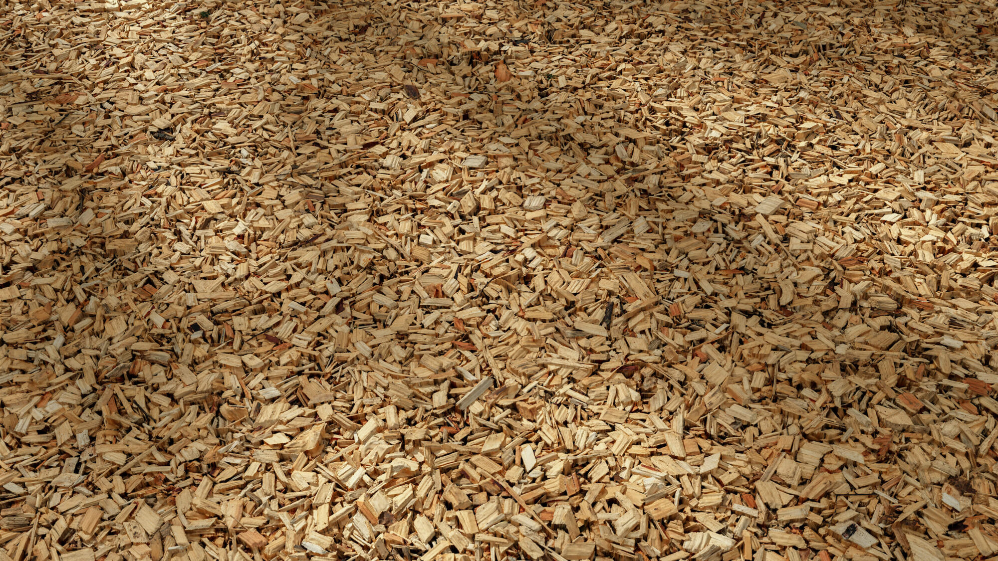 Seamless Wood Chips Texture